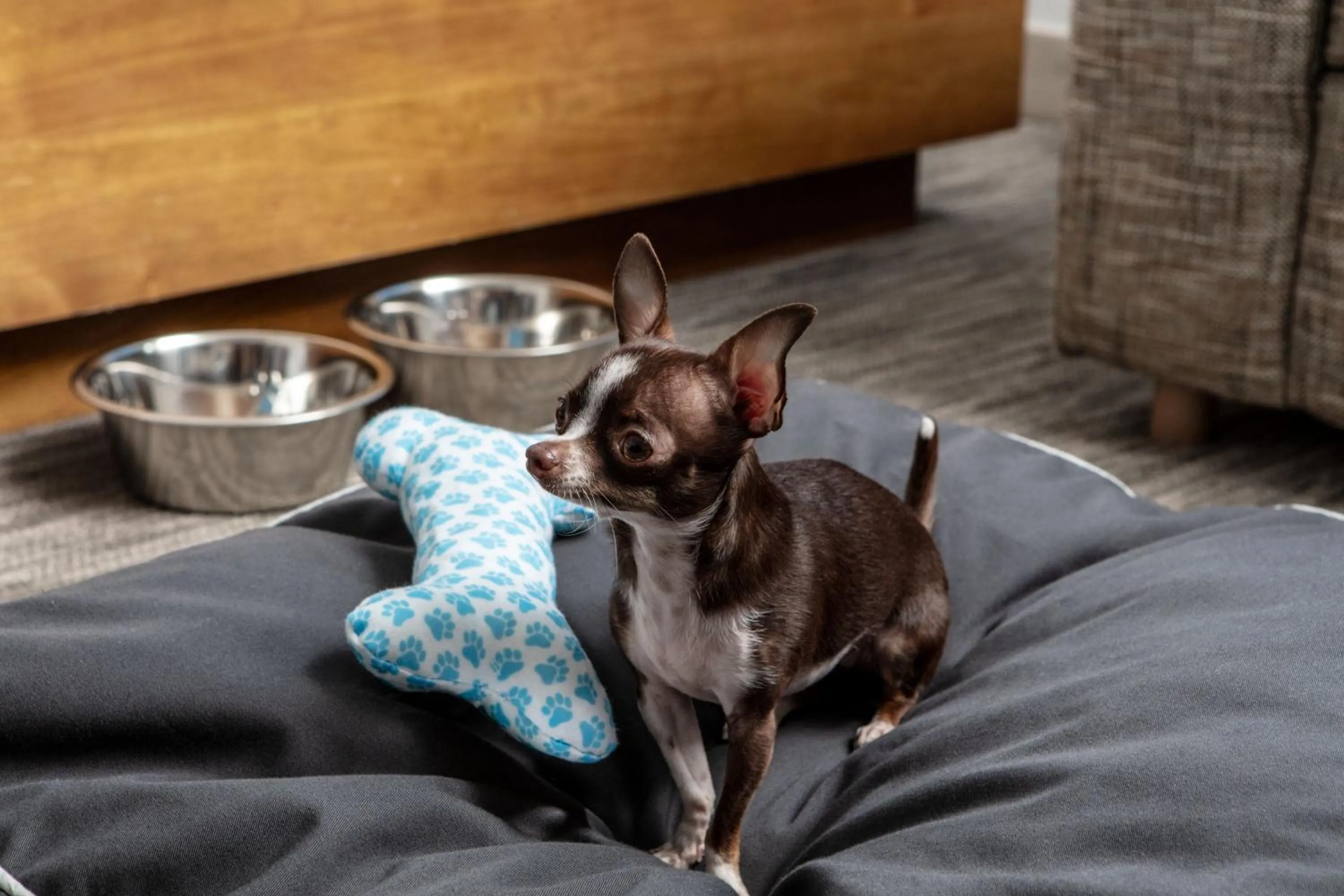 Other in Element Chattanooga East