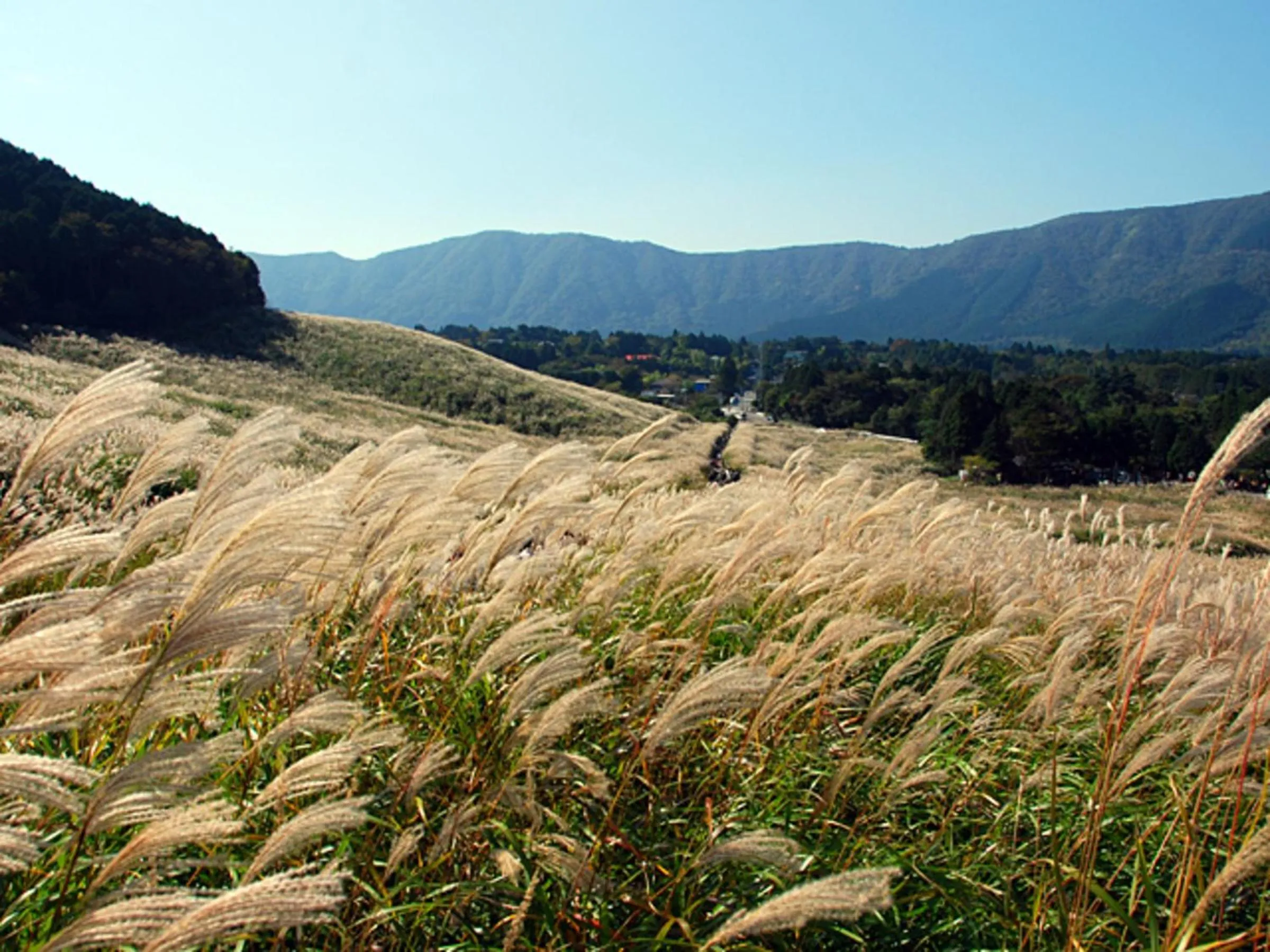 Nearby landmark in Hotel Shikinoyakata Hakone Ashinoko
