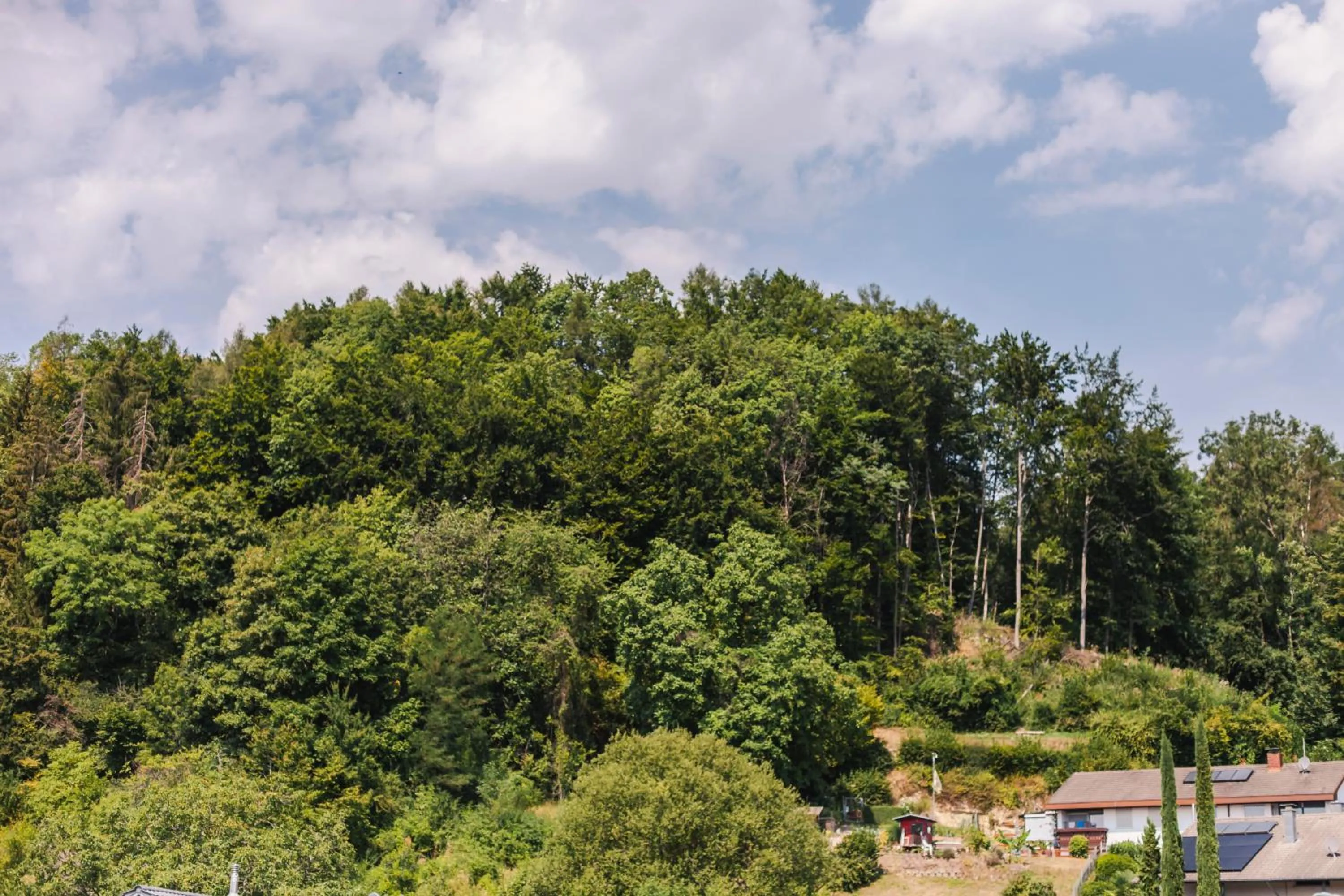 Day in Die Sonne Nollingen