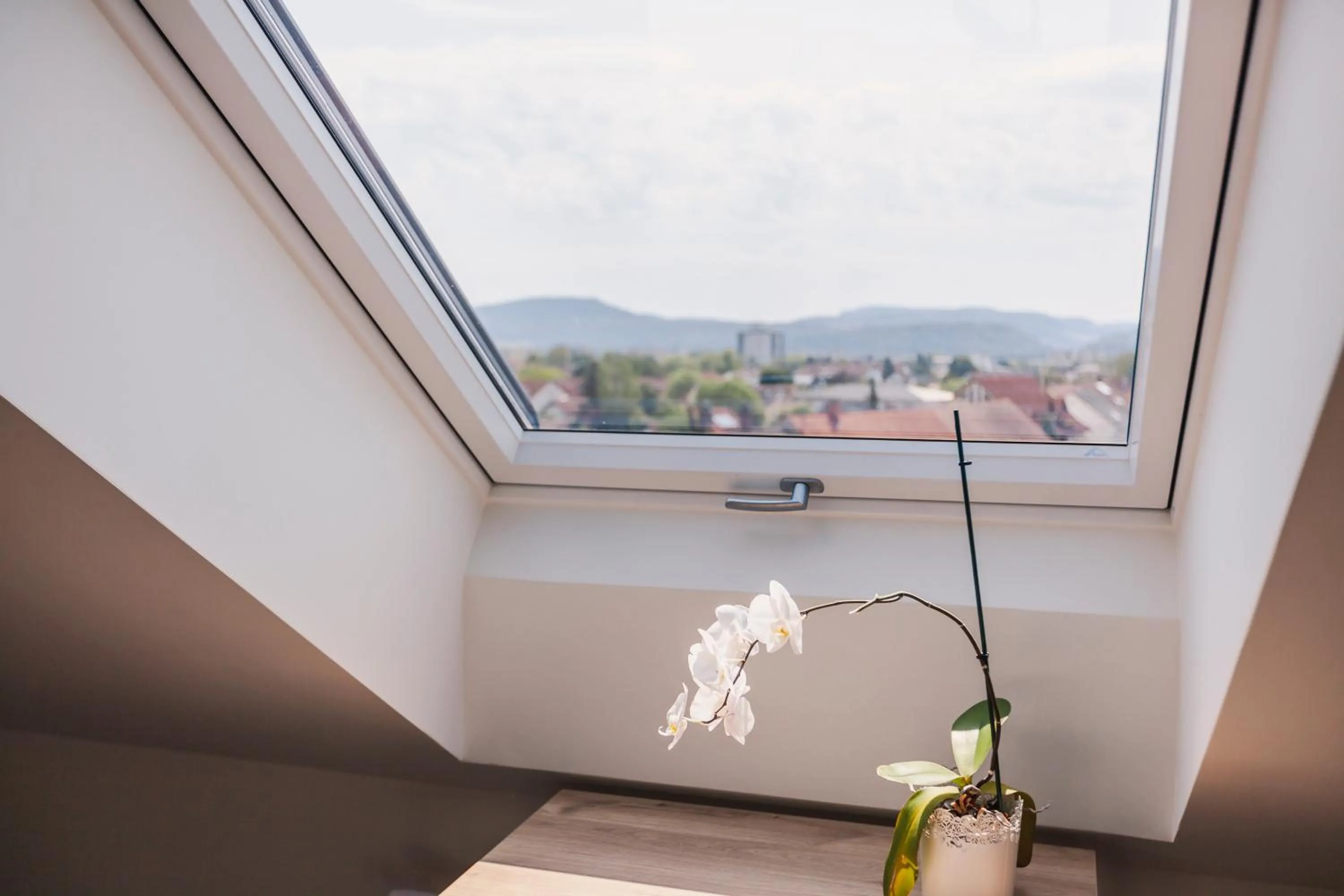 Day in Die Sonne Nollingen