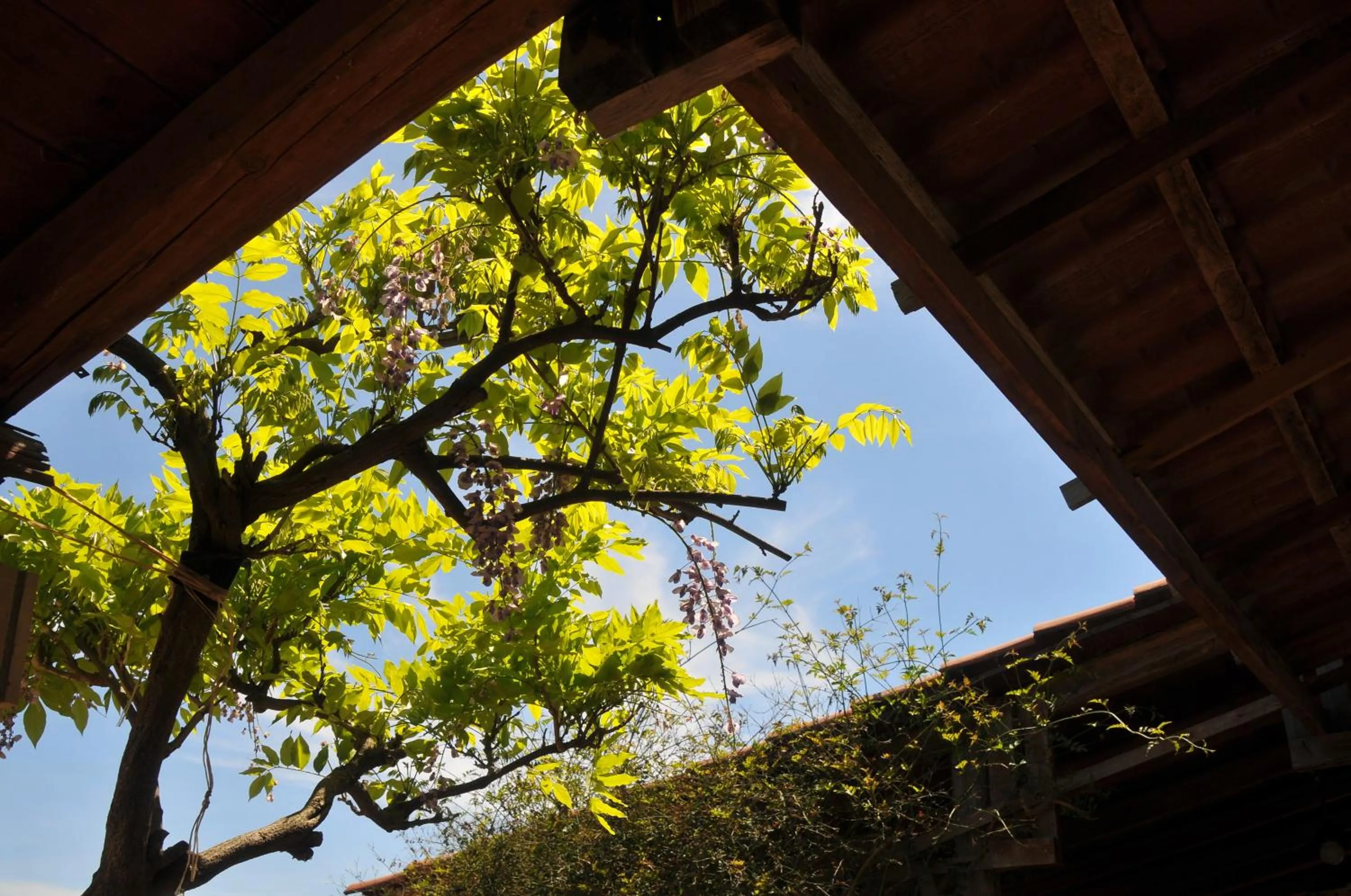 Garden in B&B Il Mandorleto Avola