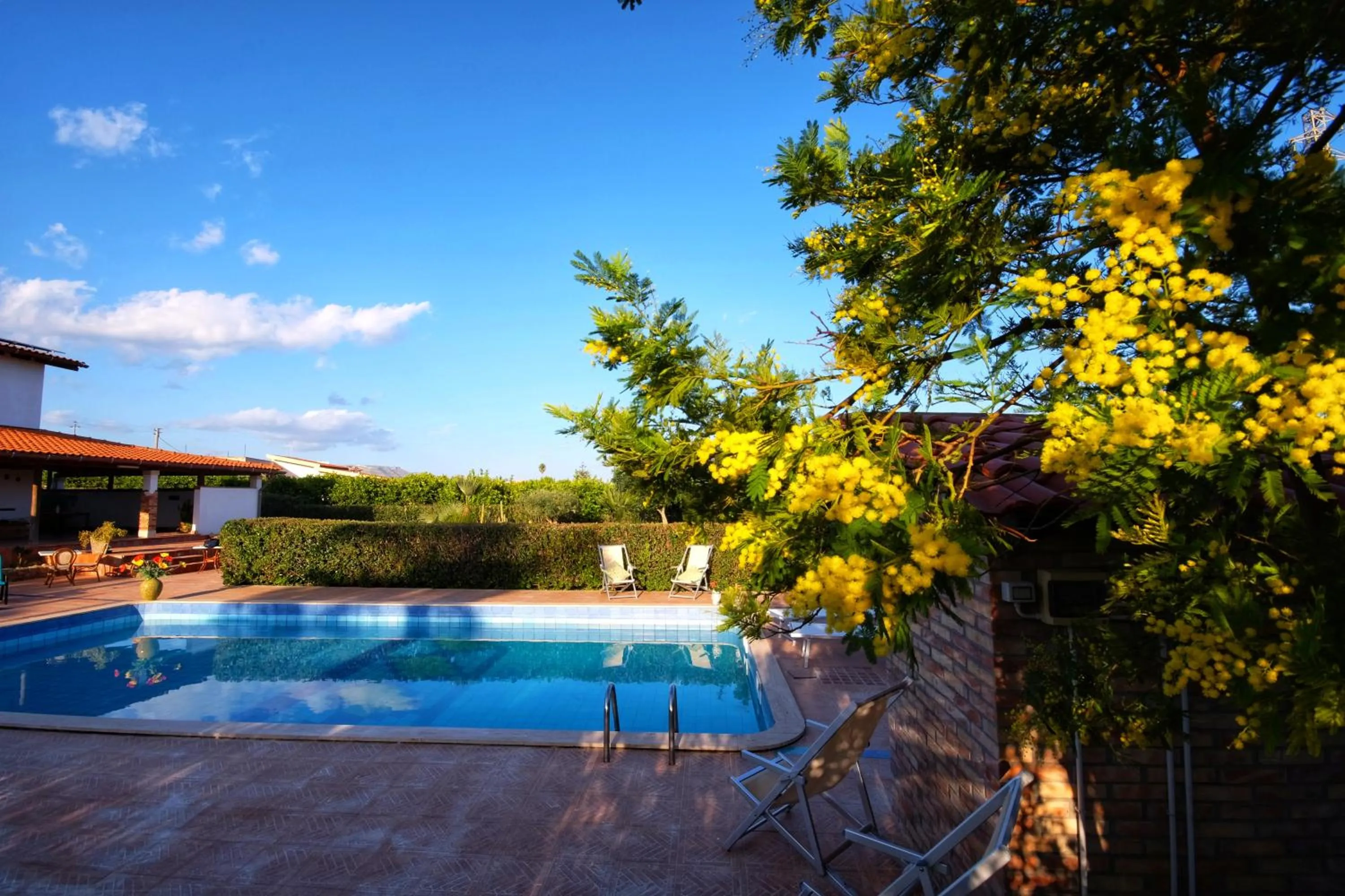 Pool view in B&B Il Mandorleto Avola