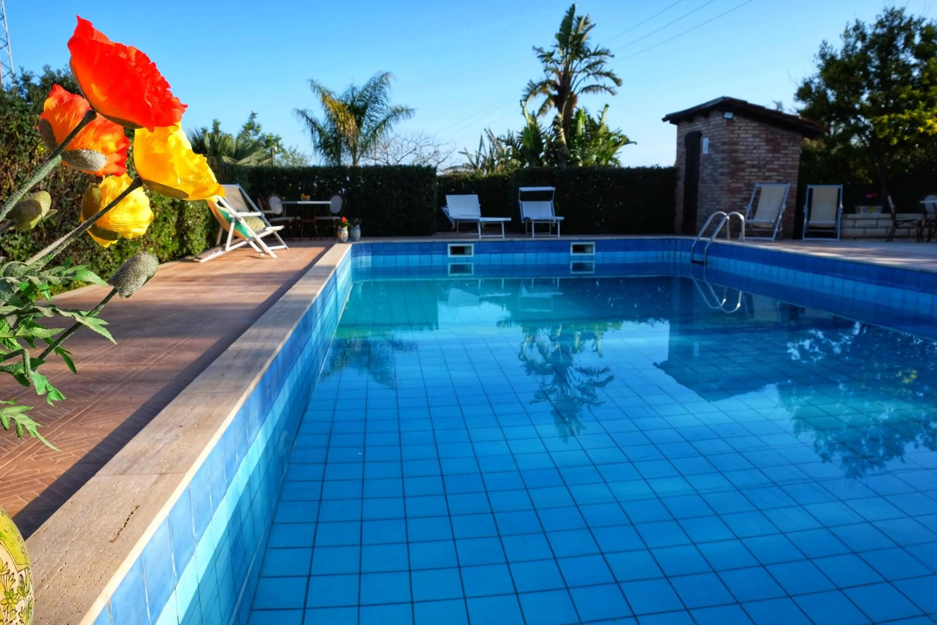 Swimming pool in B&B Il Mandorleto Avola