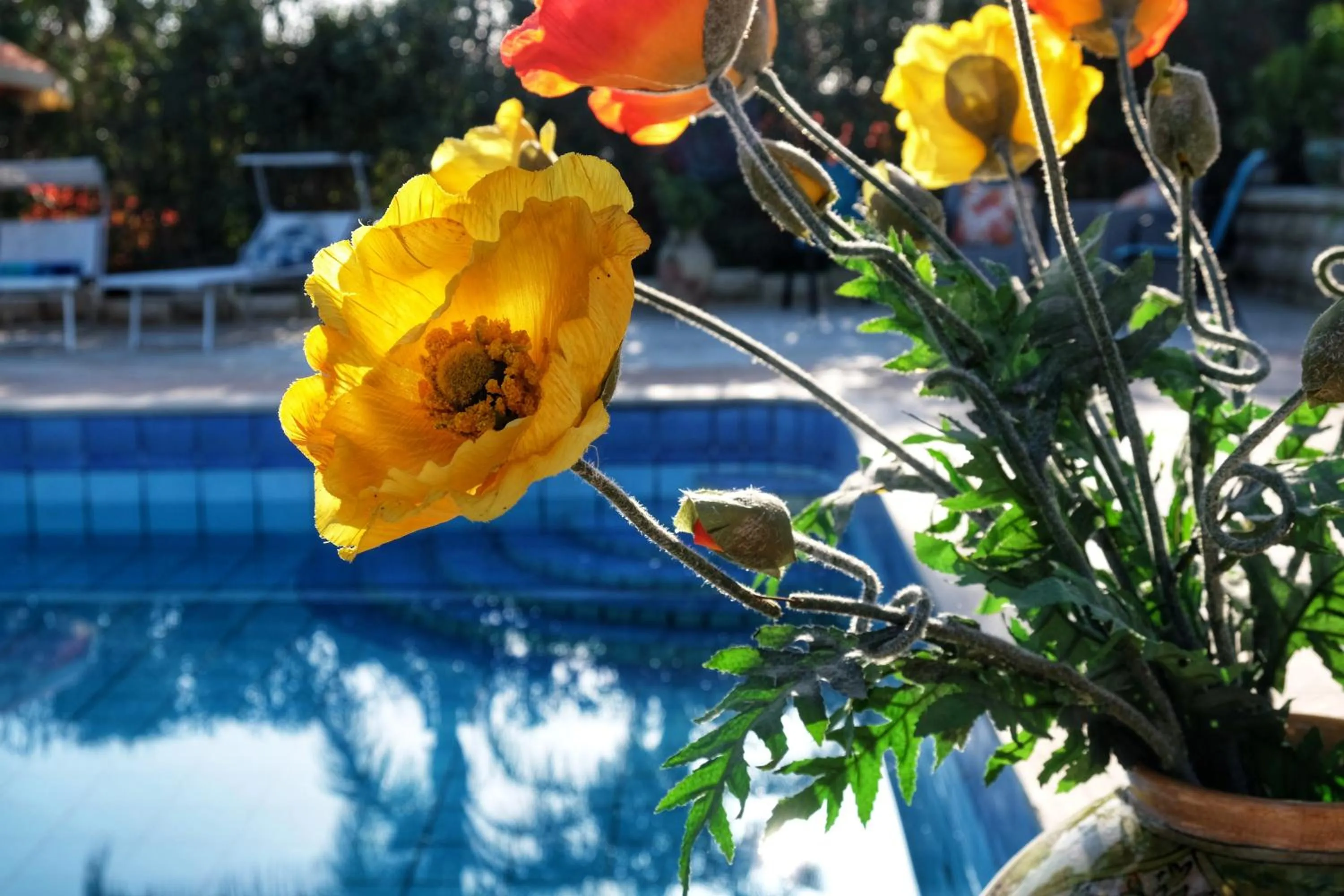 Swimming pool in B&B Il Mandorleto Avola