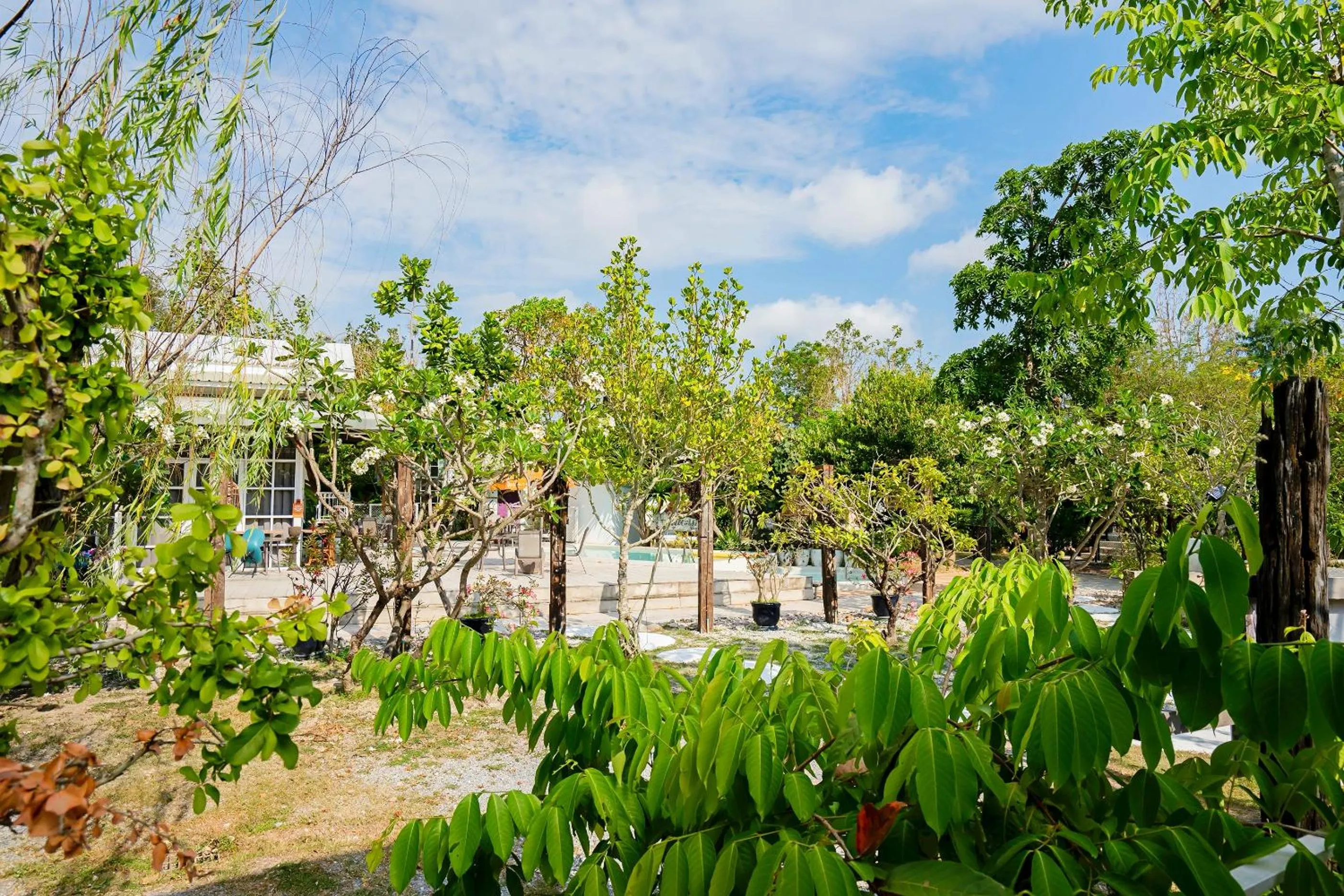 View (from property/room) in Utapao sattahip rayong resort