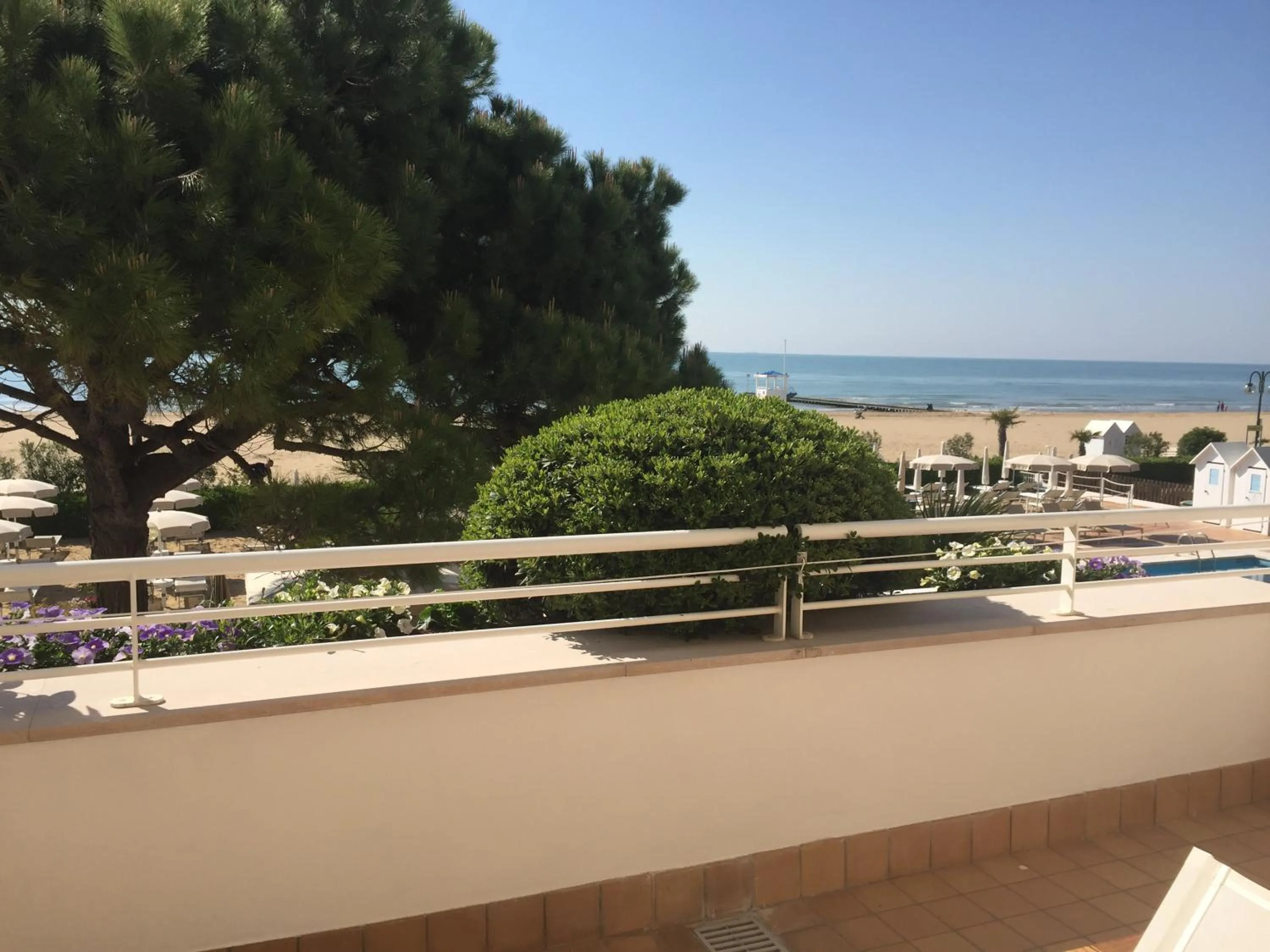 Balcony/Terrace in Hotel Aurora