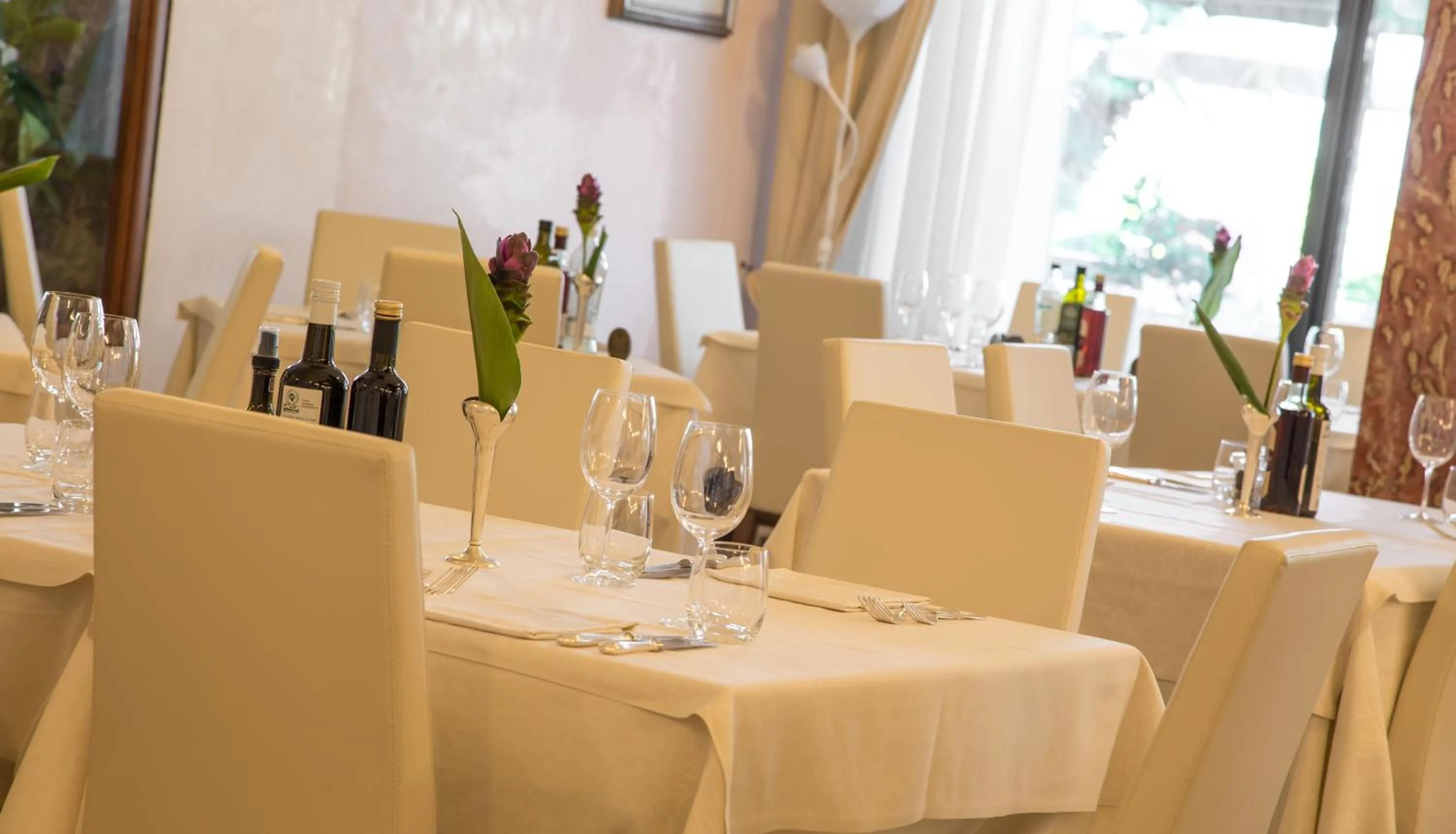 Restaurant/places to eat in Hotel Aurora