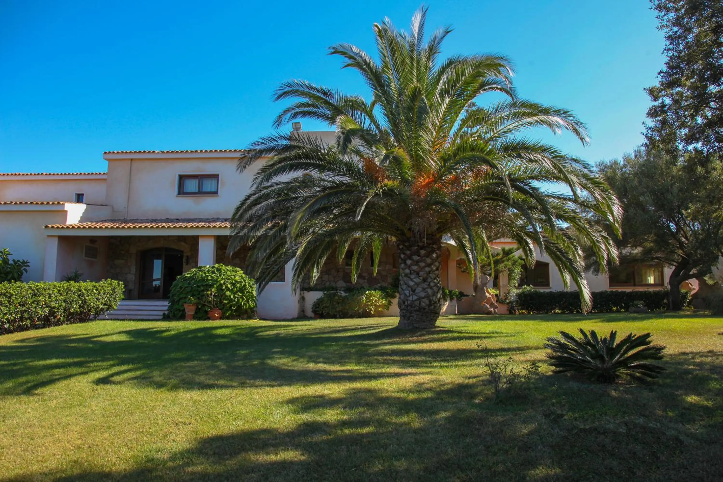 Property building in Hotel Micalosu