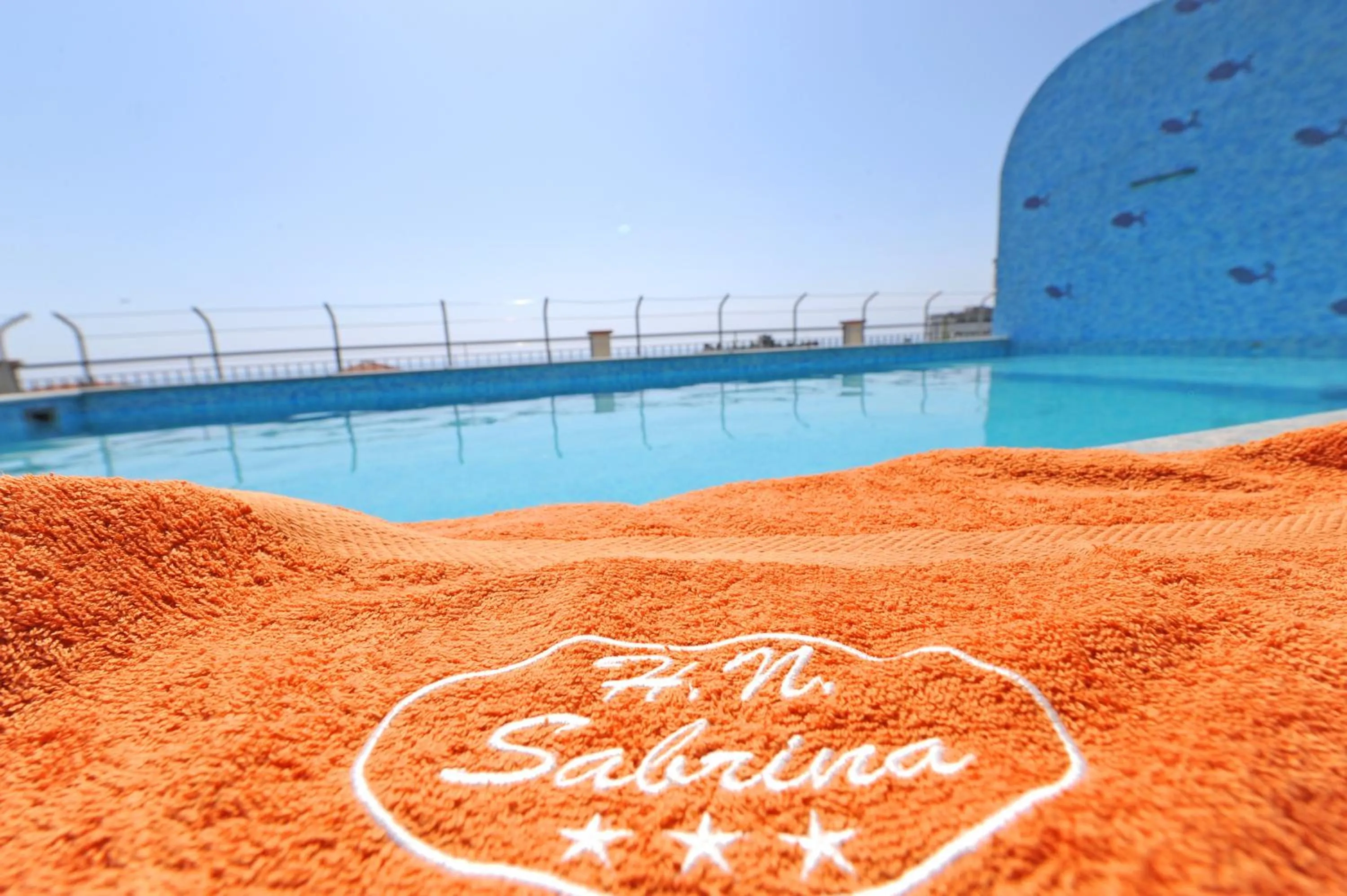 Swimming pool in Hotel Nuova Sabrina