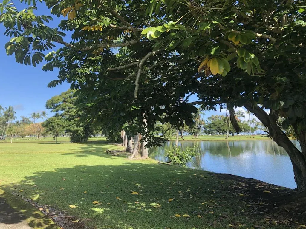 Stunning Views Best location in Hilo 2BR modern Condo