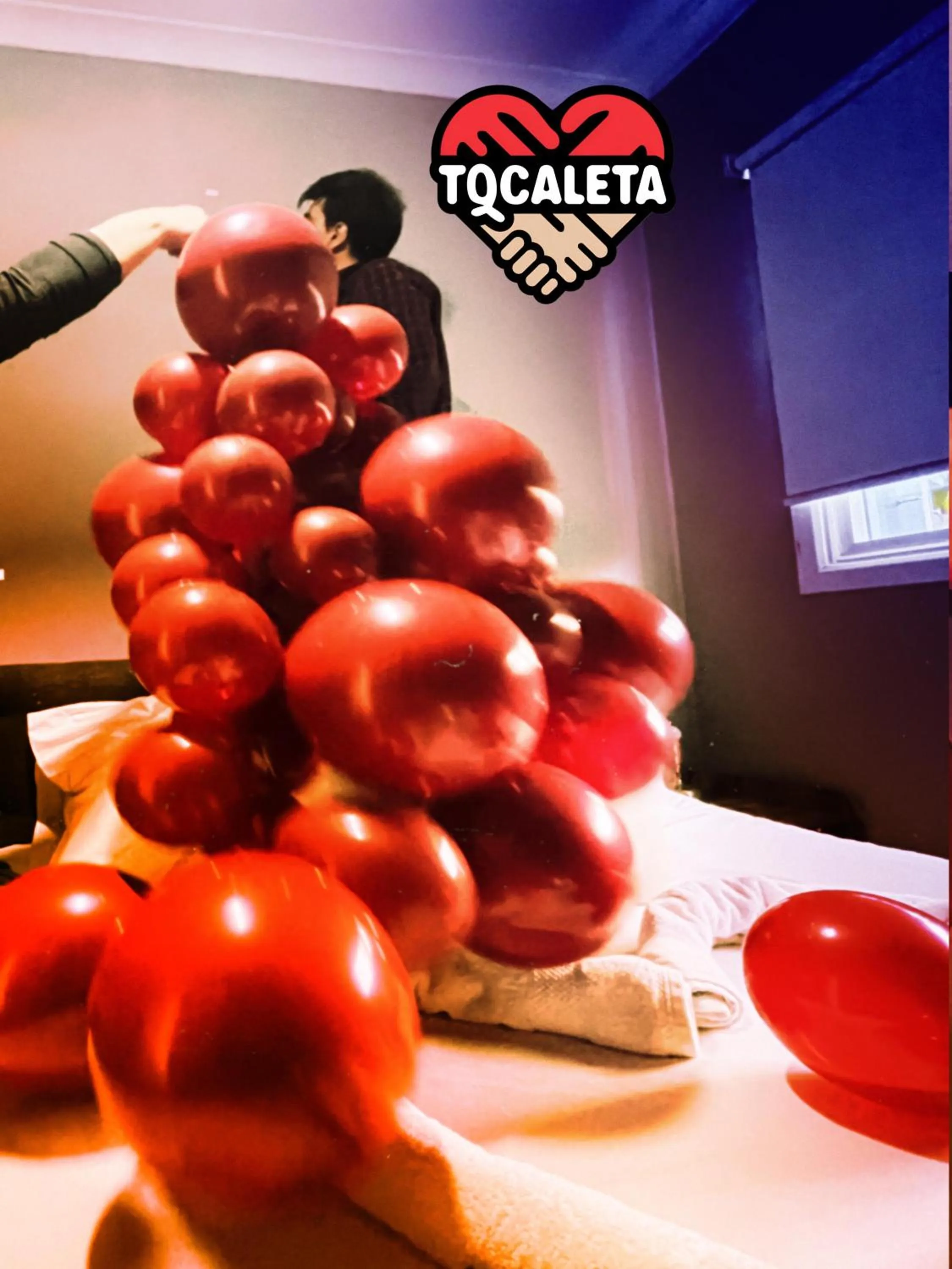 Logo/Certificate/Sign in TQCaleta Providencia Barrio Italia