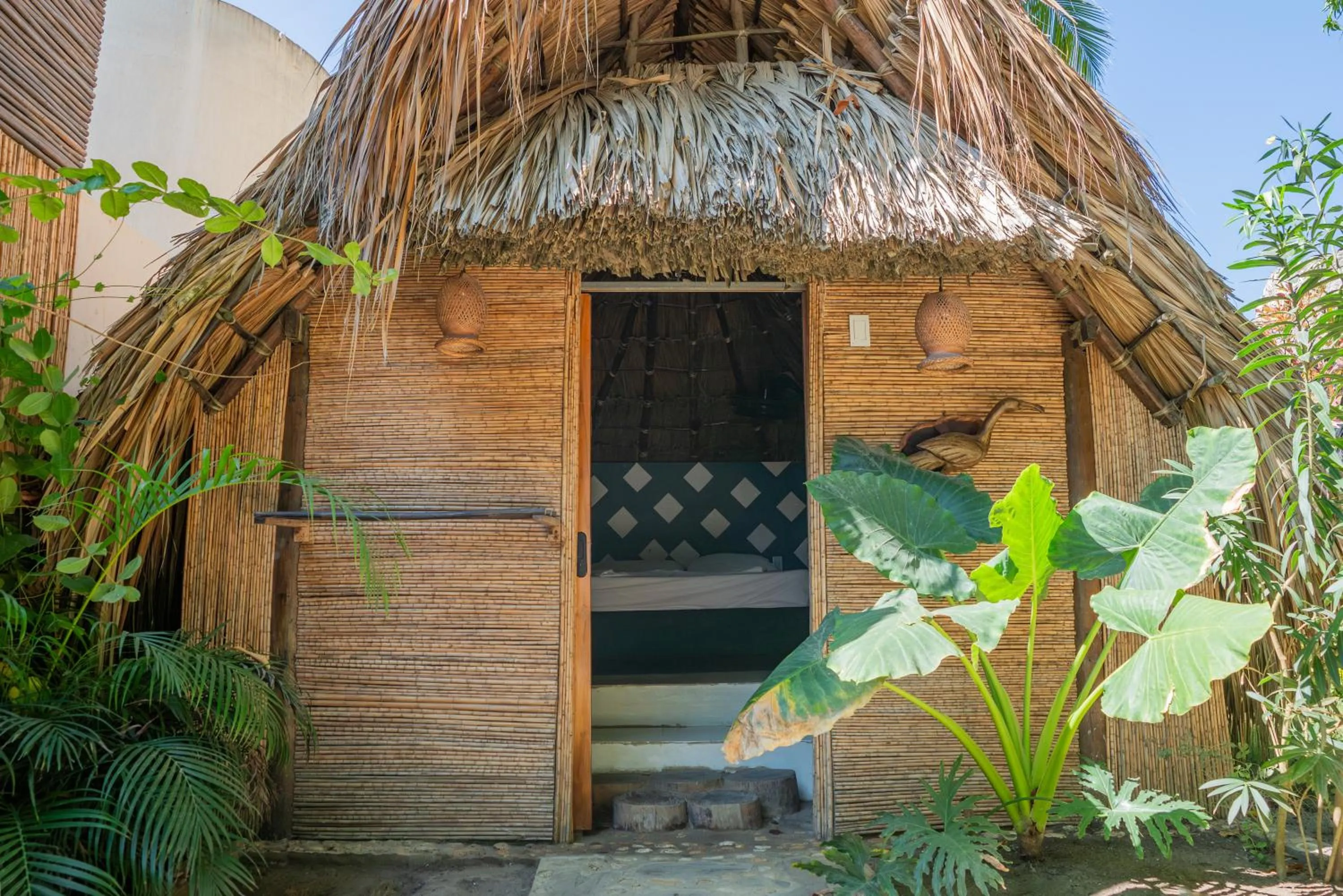 Garden in La Playita Isla Fuerte