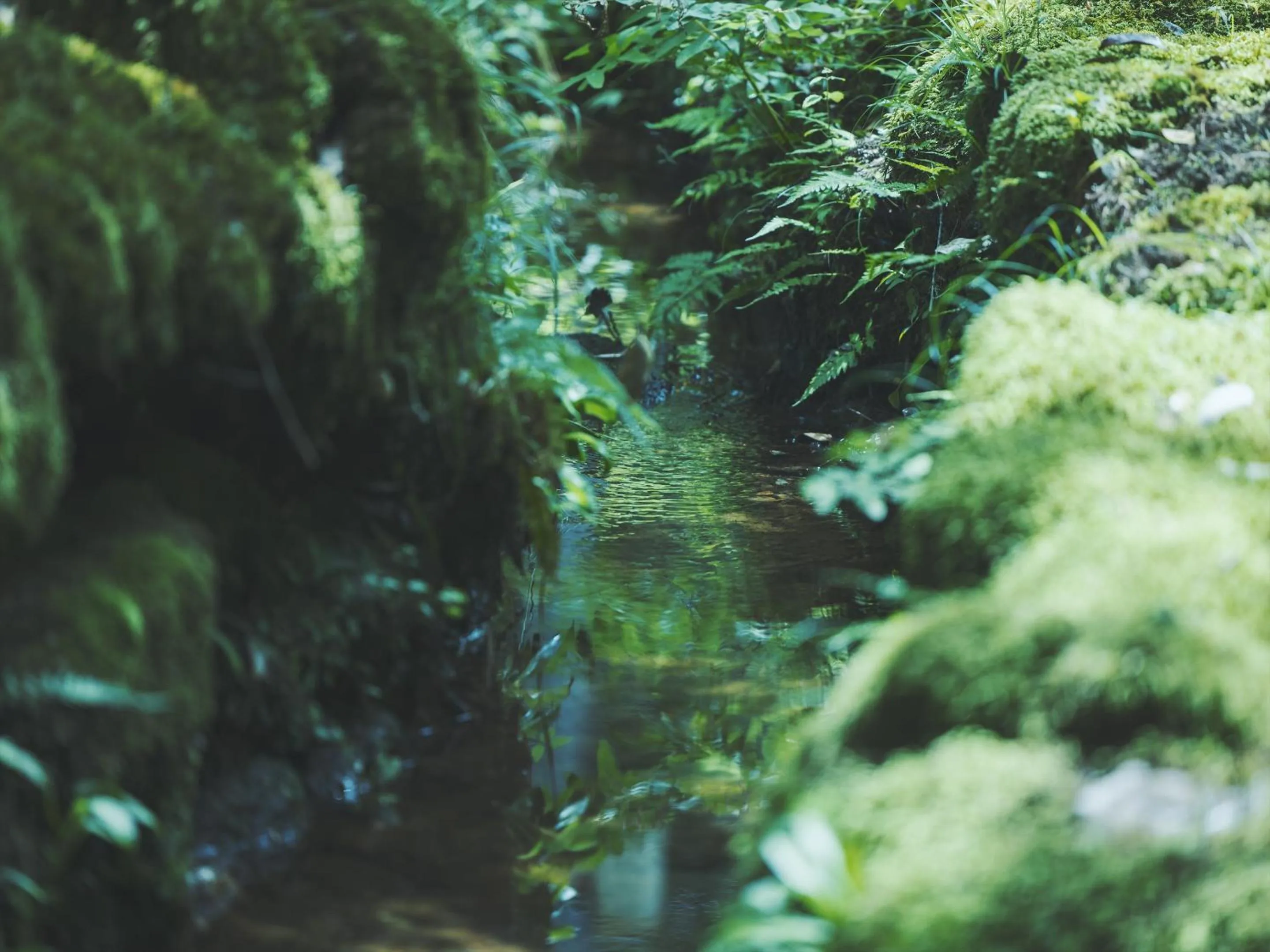 Natural landscape in SOKI Kanazawa