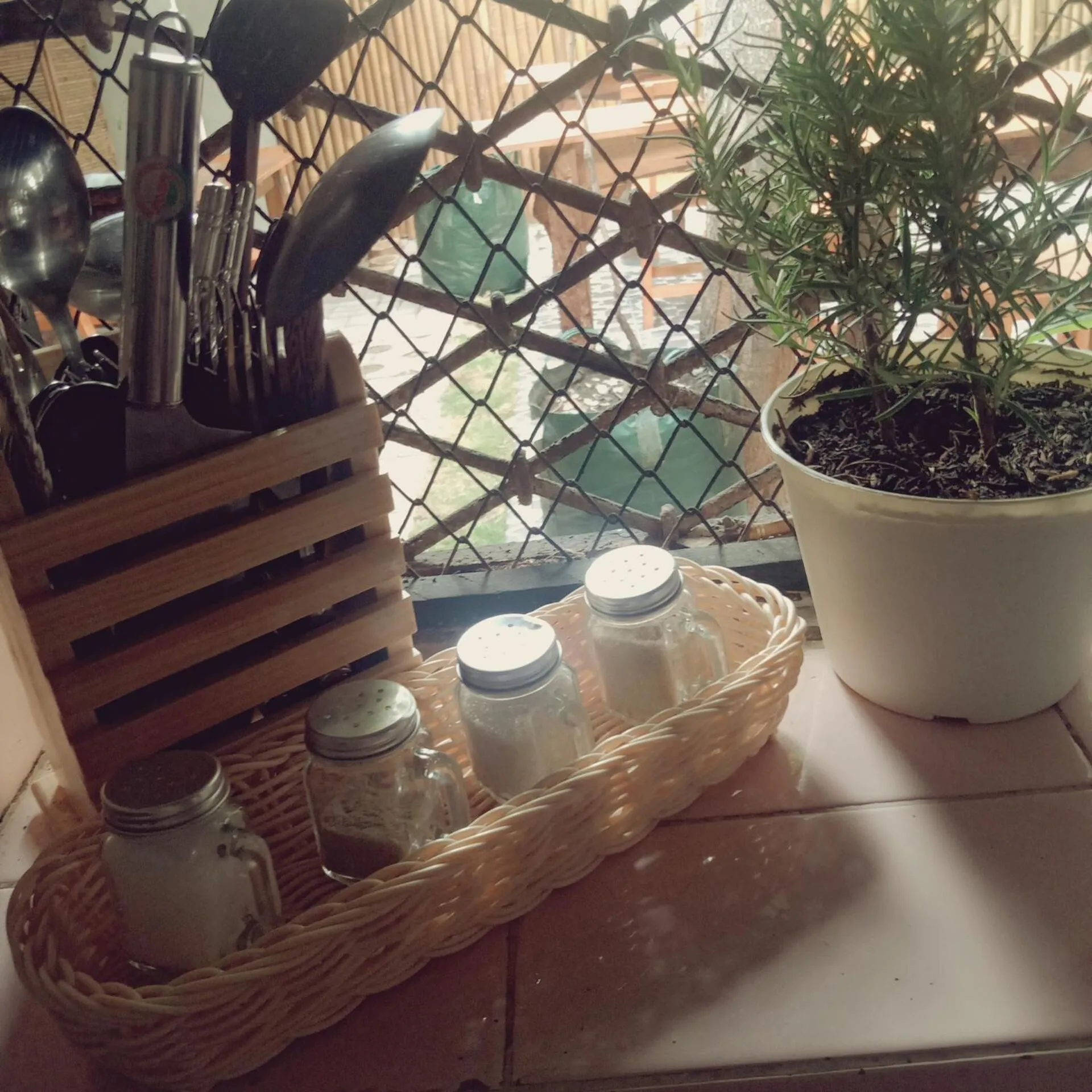 kitchen in The Bloomy House