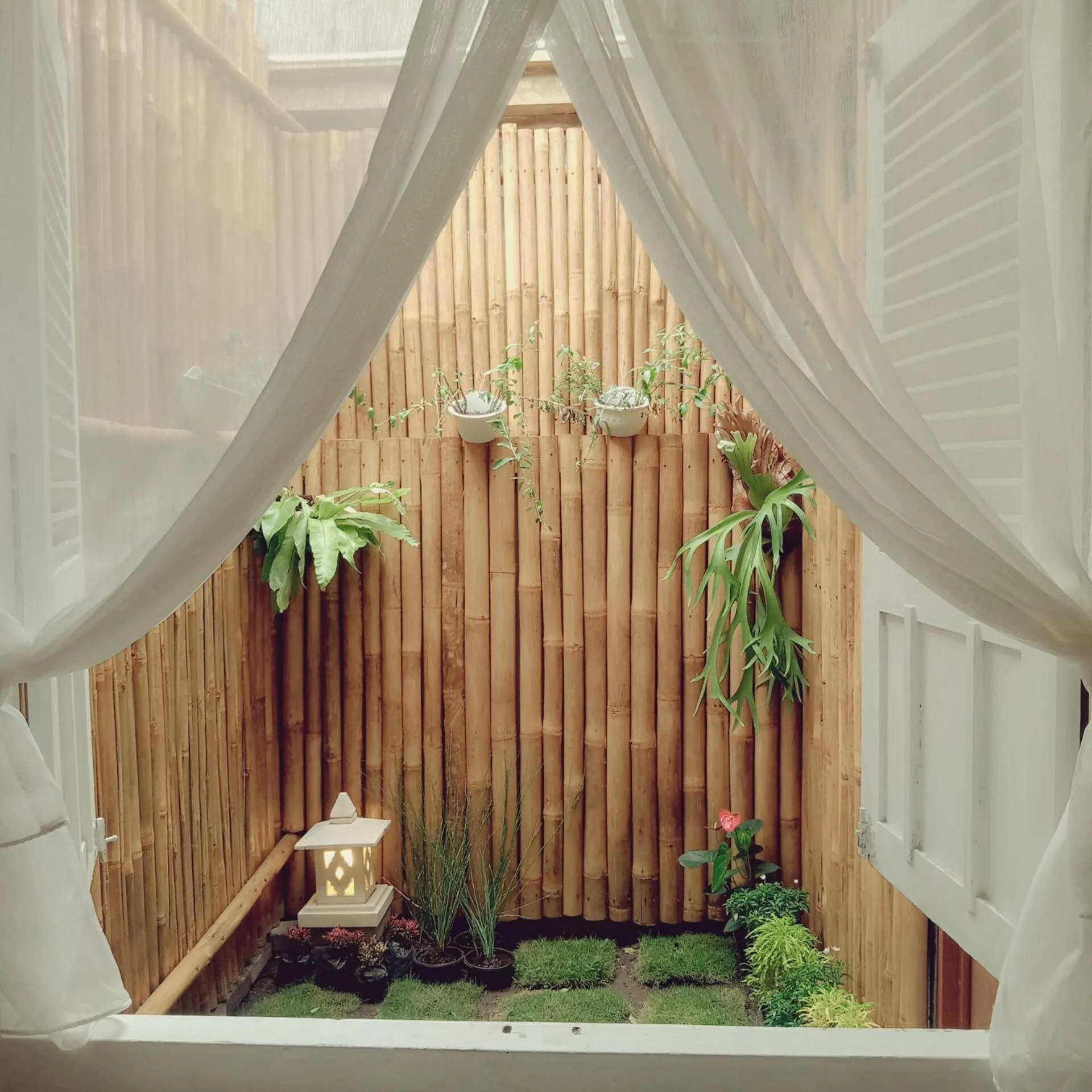 Garden view in The Bloomy House