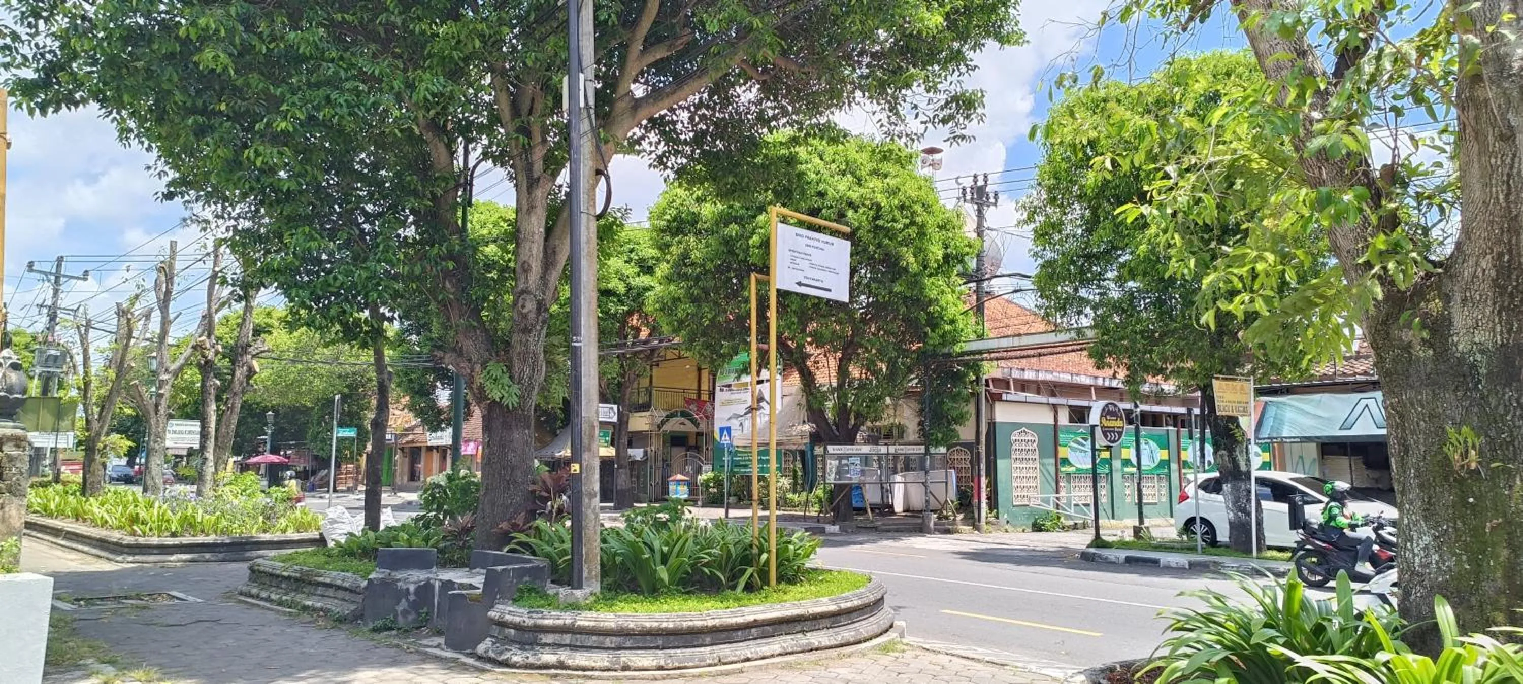 Street view in The Bloomy House