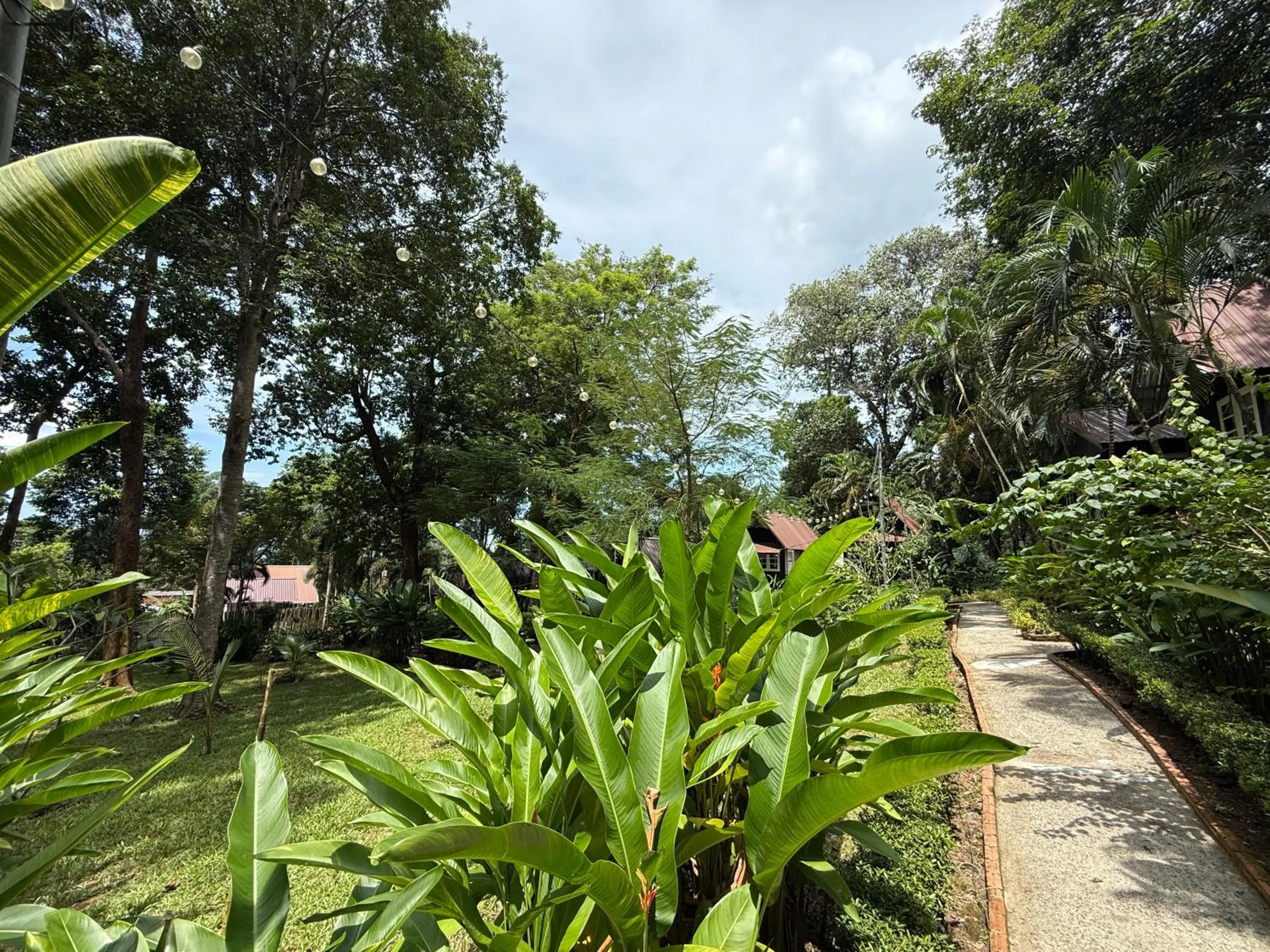 Garden in Vanara Bungalows