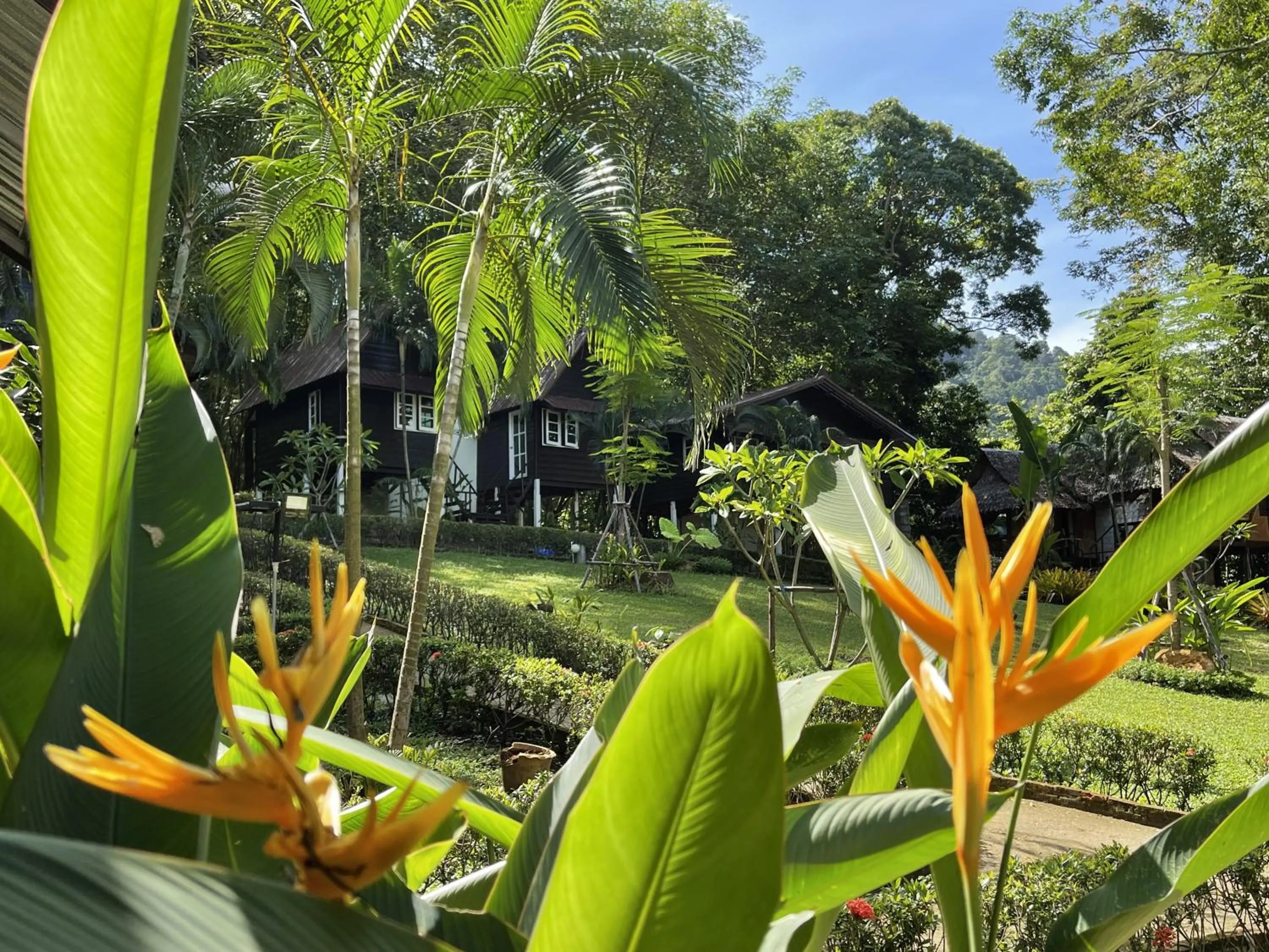 Garden in Vanara Bungalows