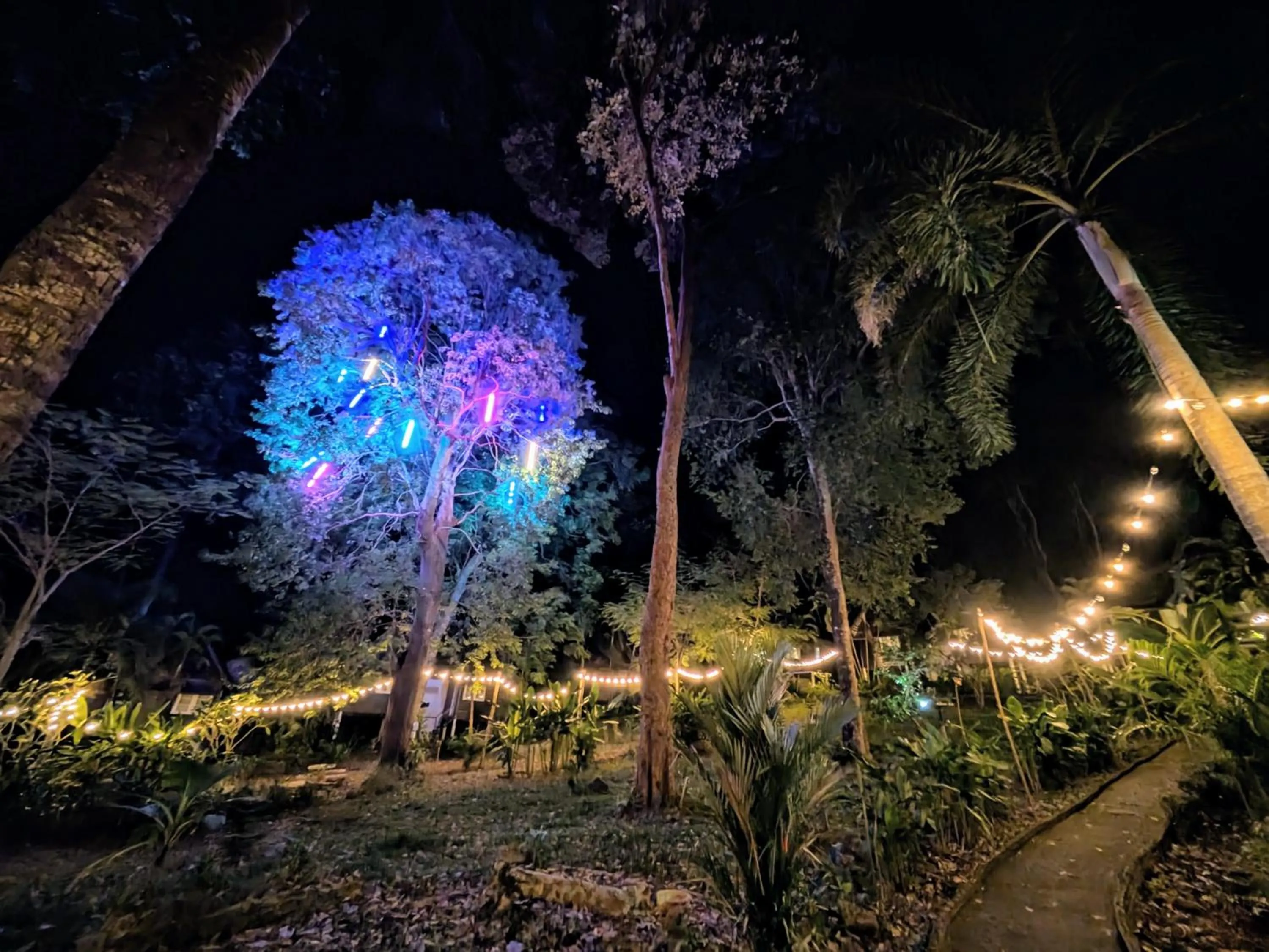 Night in Vanara Bungalows