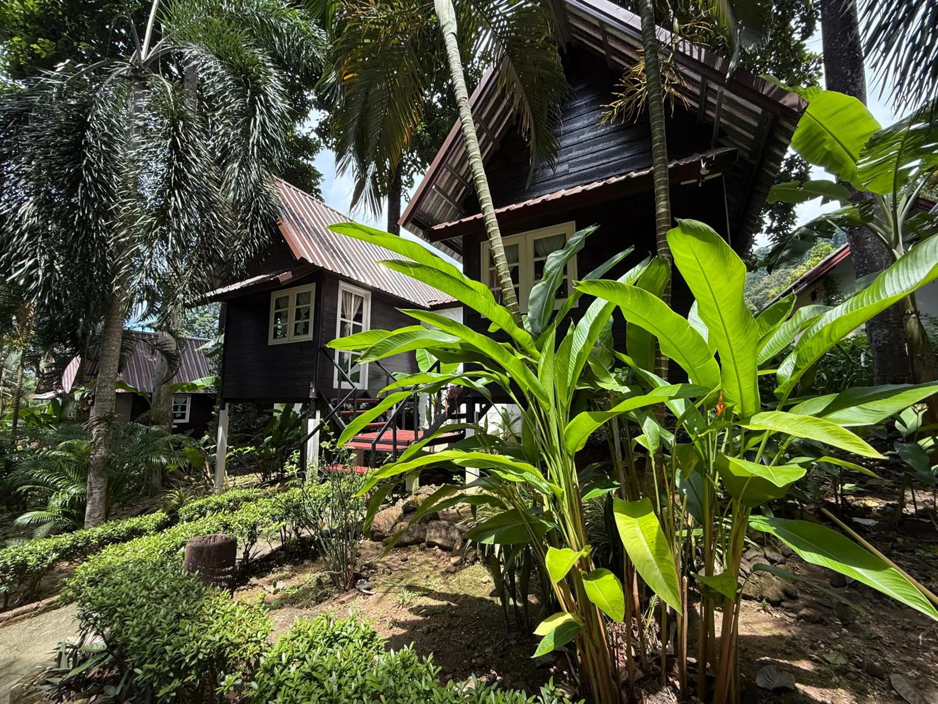 Garden in Vanara Bungalows
