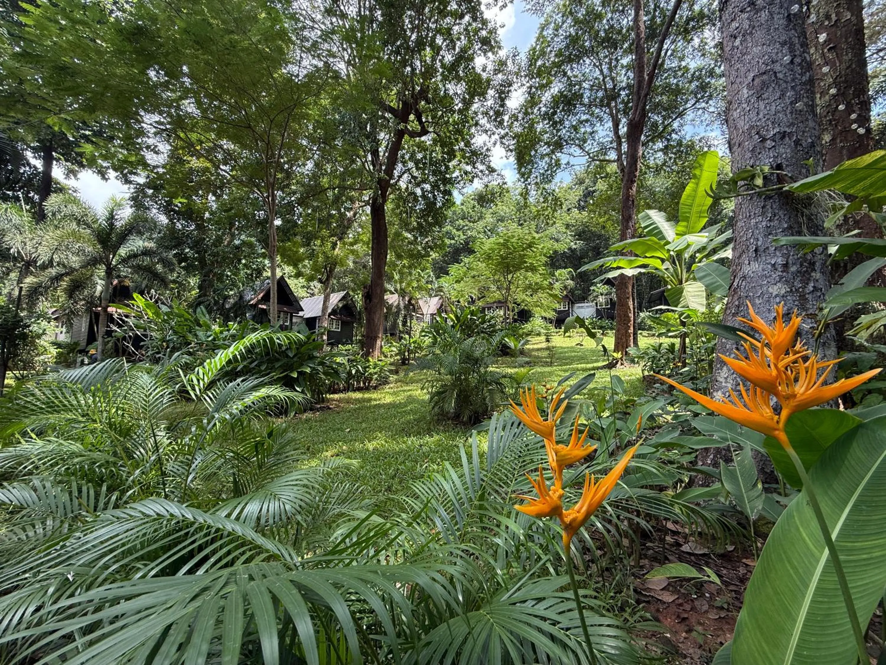 Garden in Vanara Bungalows