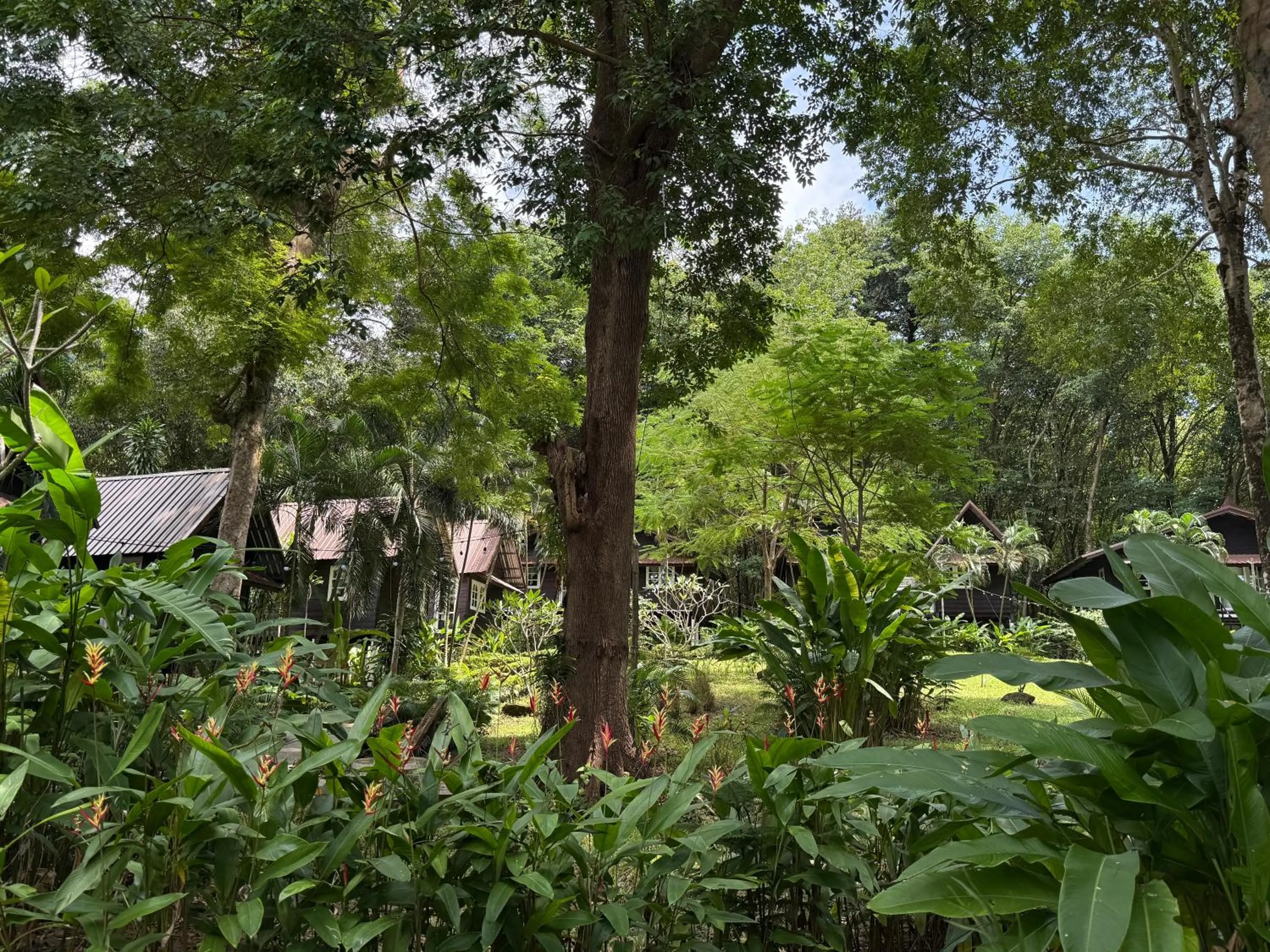 Garden view in Vanara Bungalows
