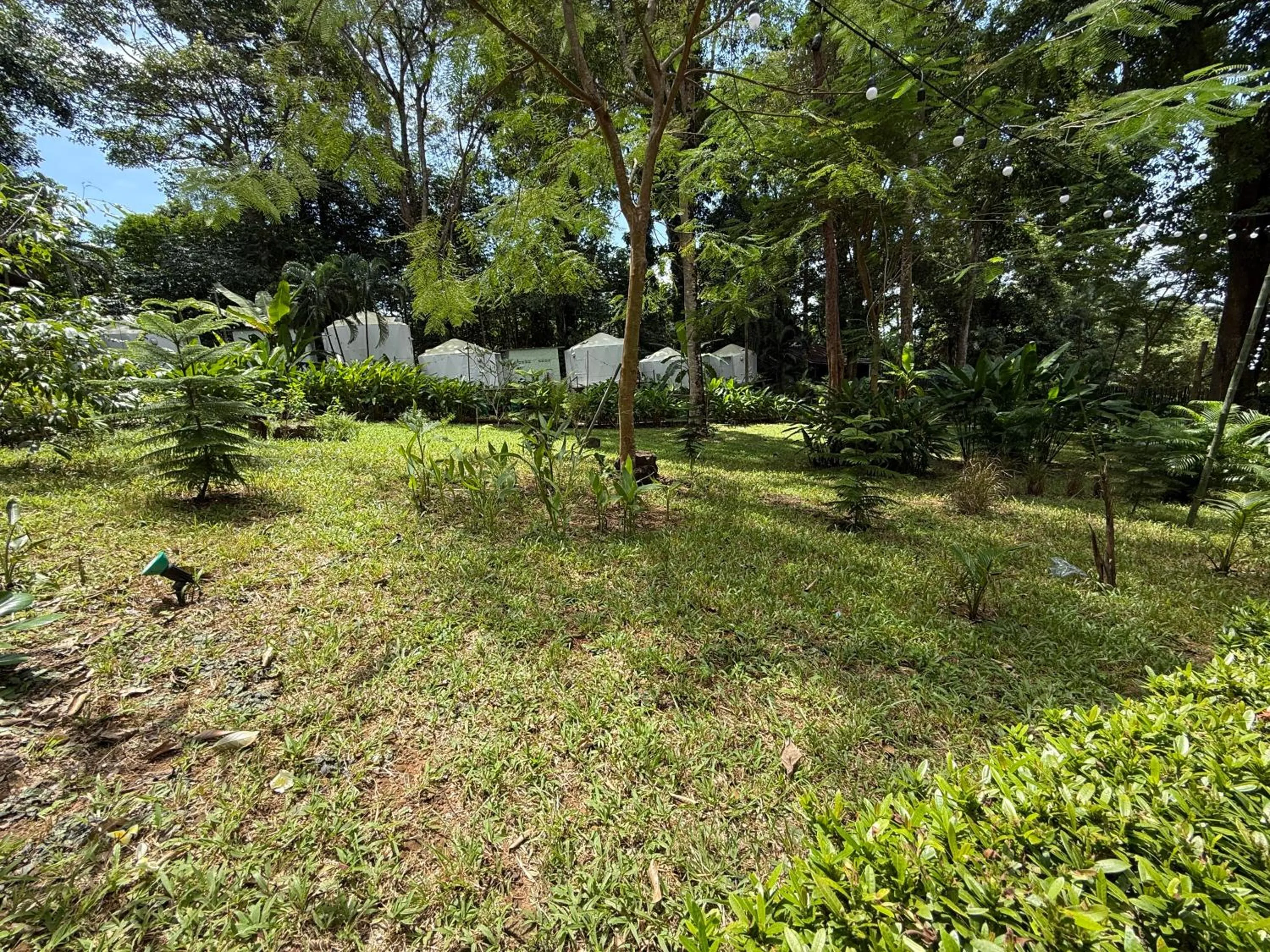 Garden view in Vanara Bungalows