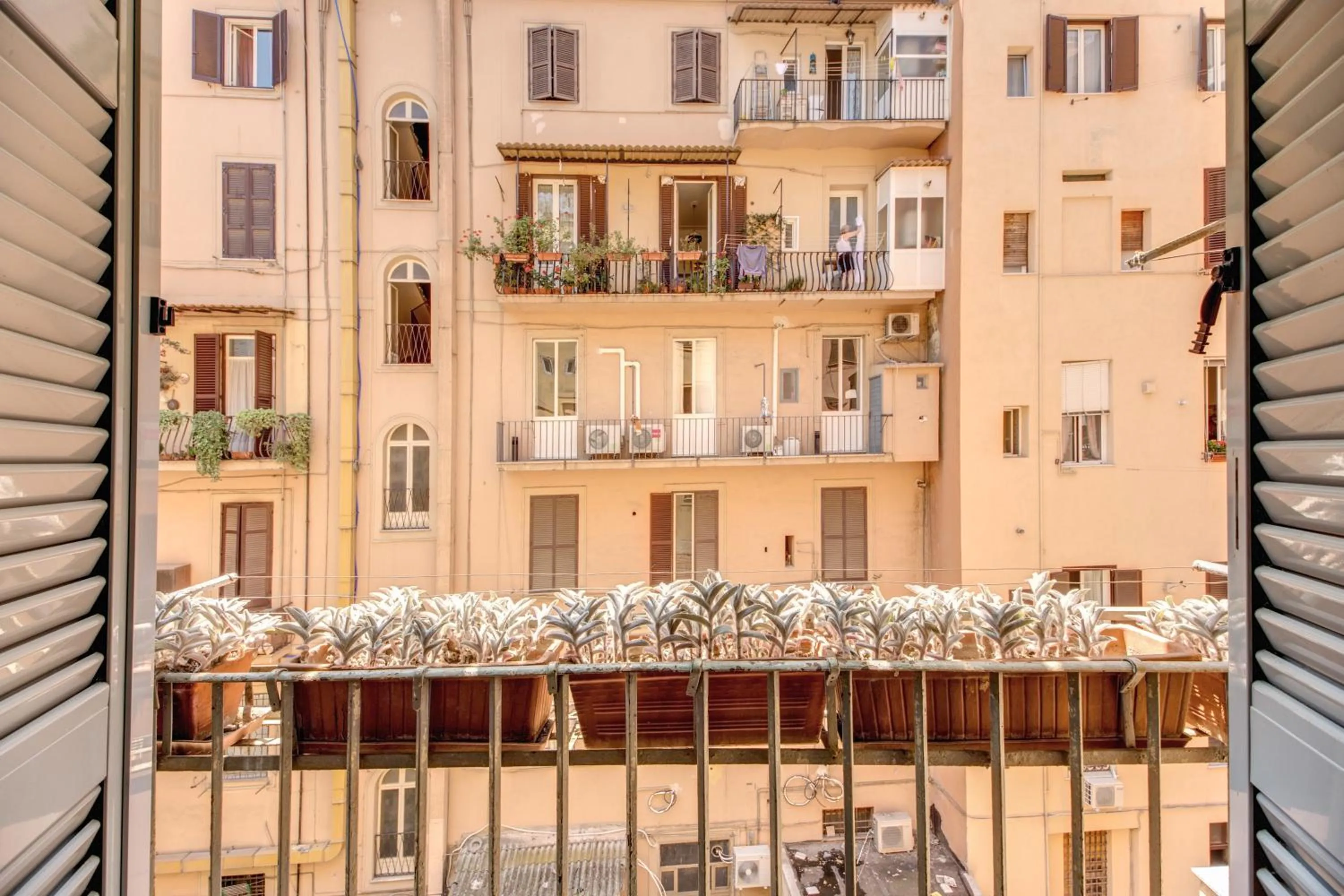 View (from property/room) in Hotel Corona