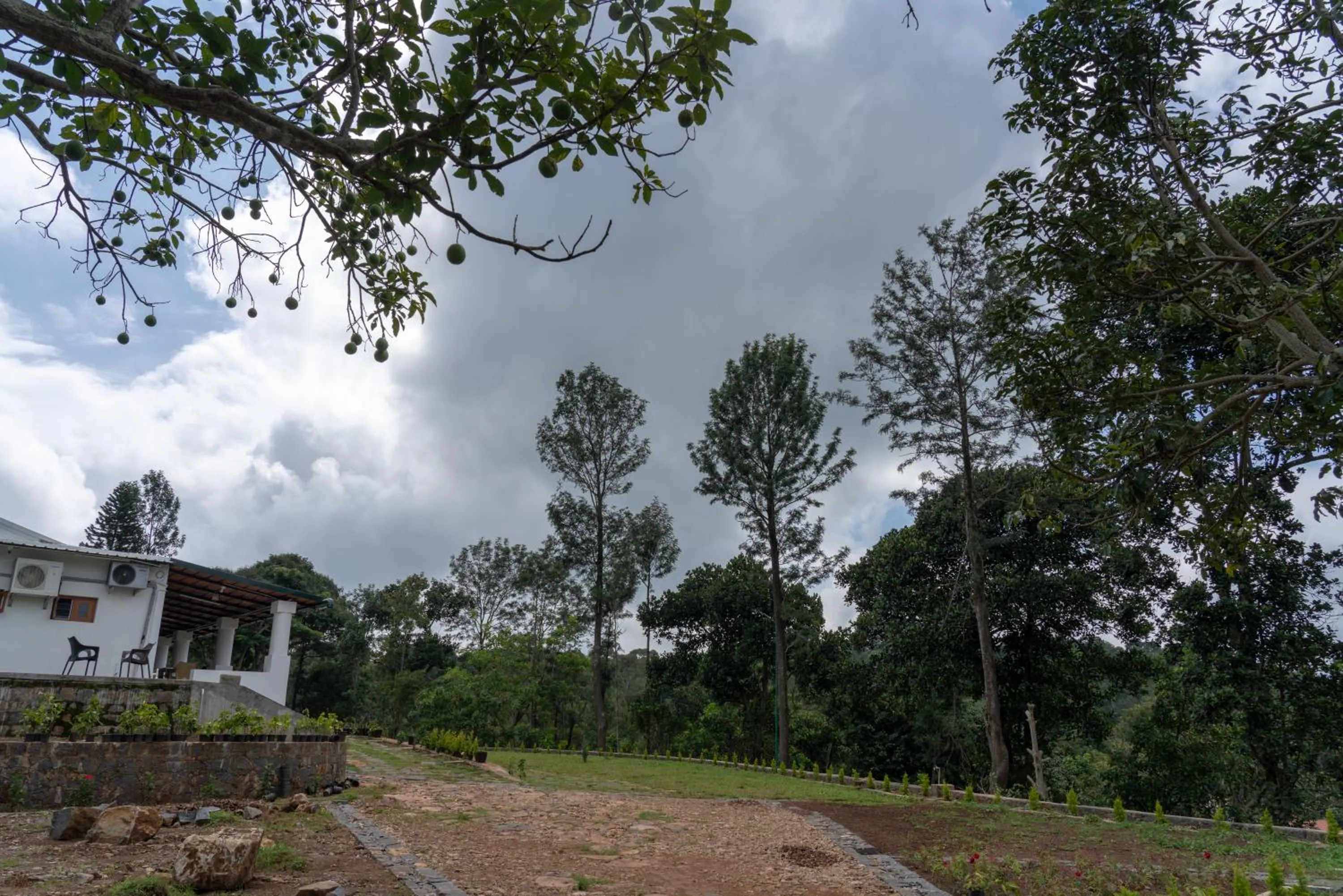 Natural landscape in The Inglewood Bungalow