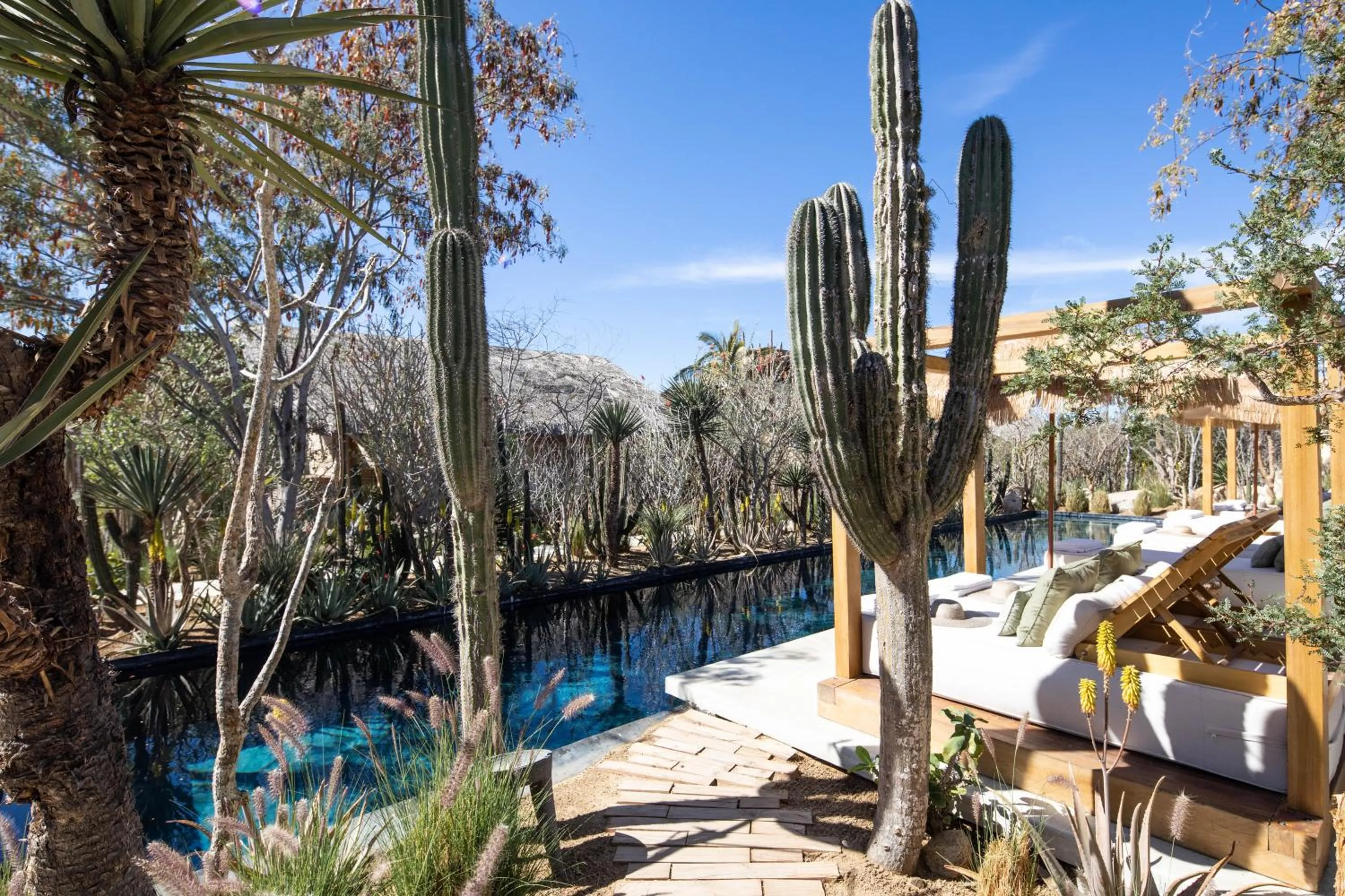 Swimming pool in El Perdido Desert Dream