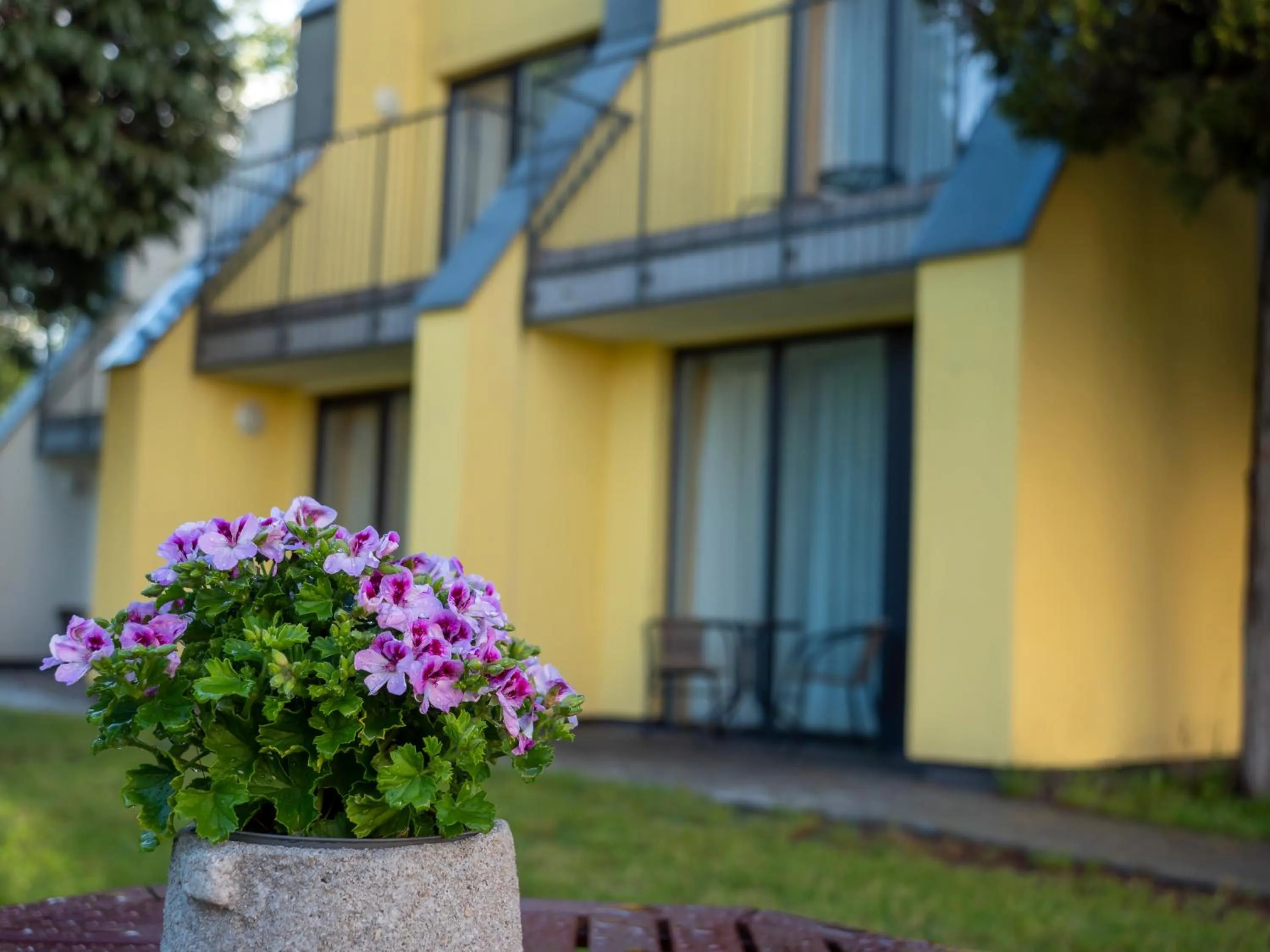 Garden in Słoneczny Brzeg Natura Tour