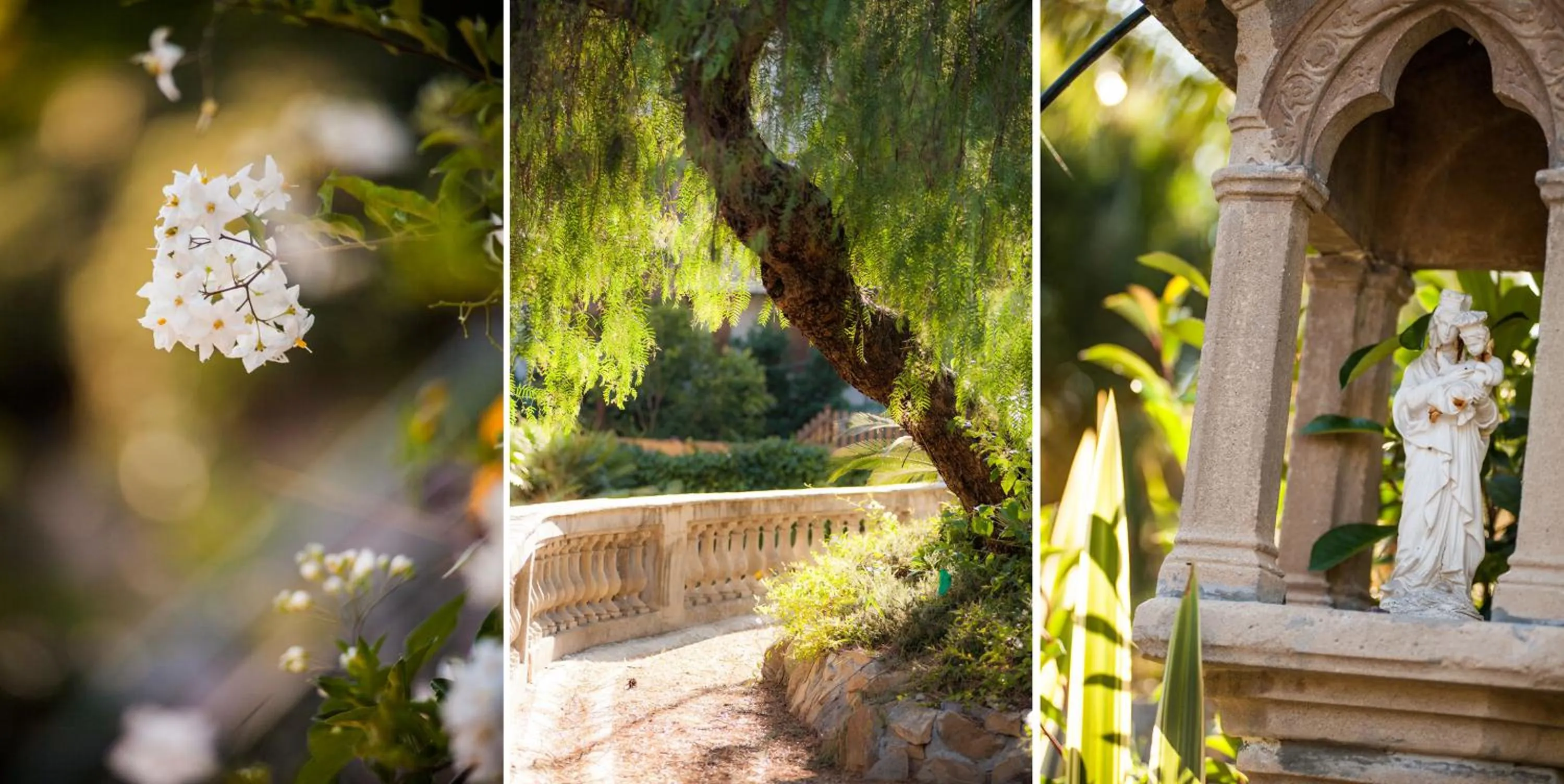 Garden in Villa Sylva & Spa