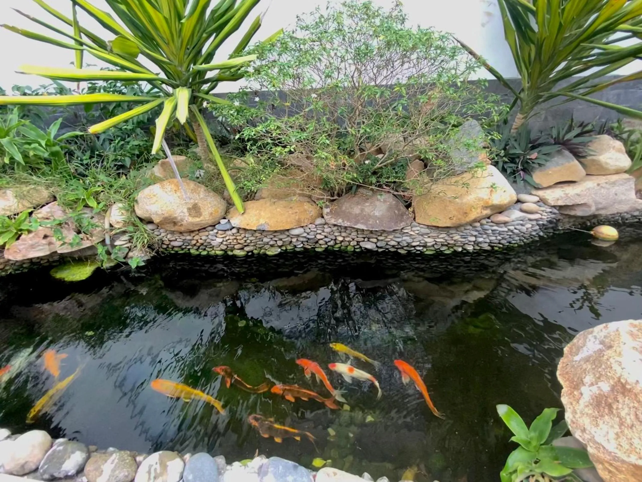 Day in VND Vũng Tàu Hotel & Villa