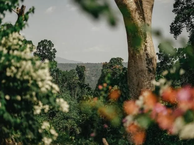 Mountain view in Emerald Manor Hotel
