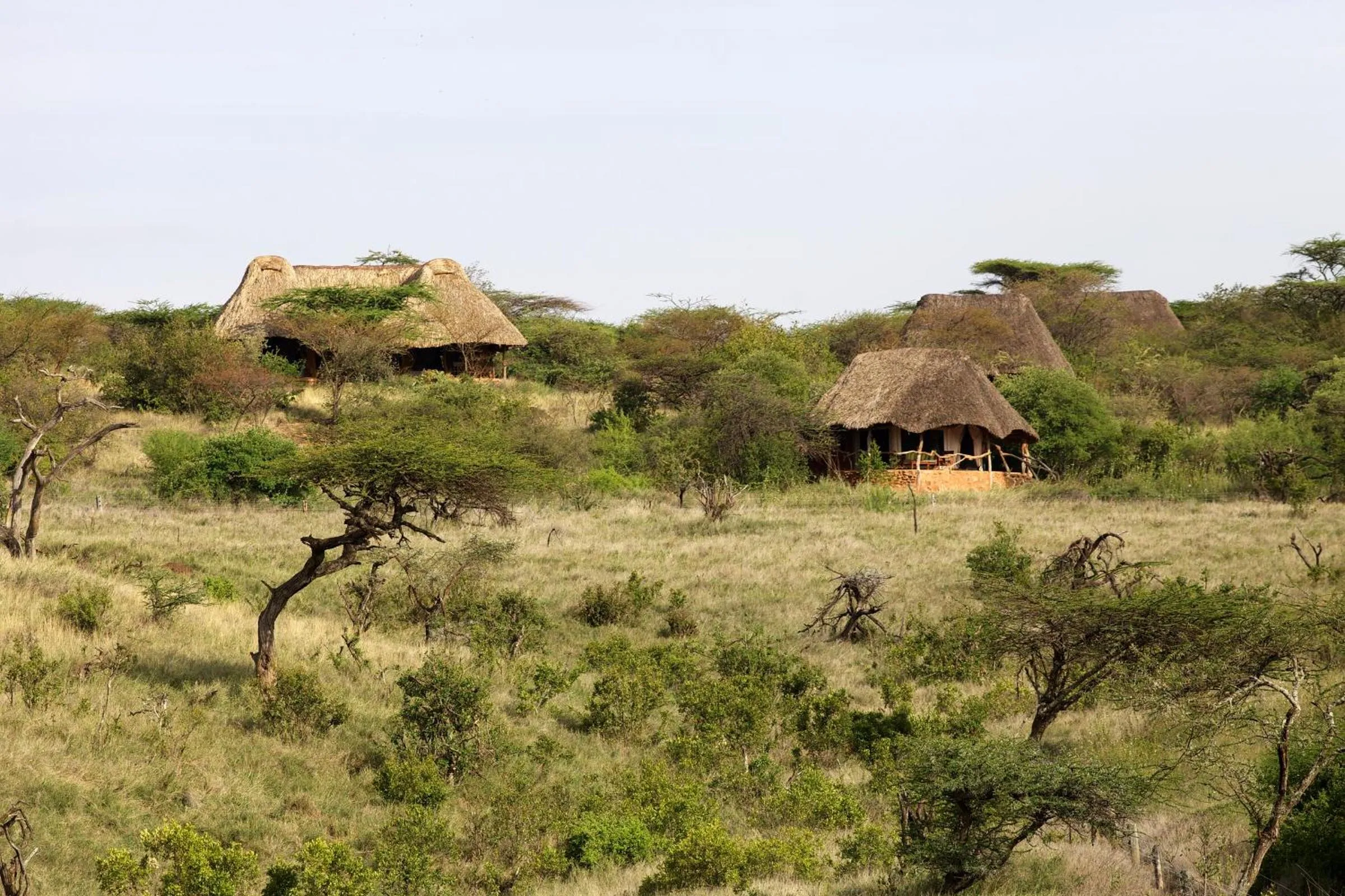 Neighbourhood in Elewana Lewa Safari Camp