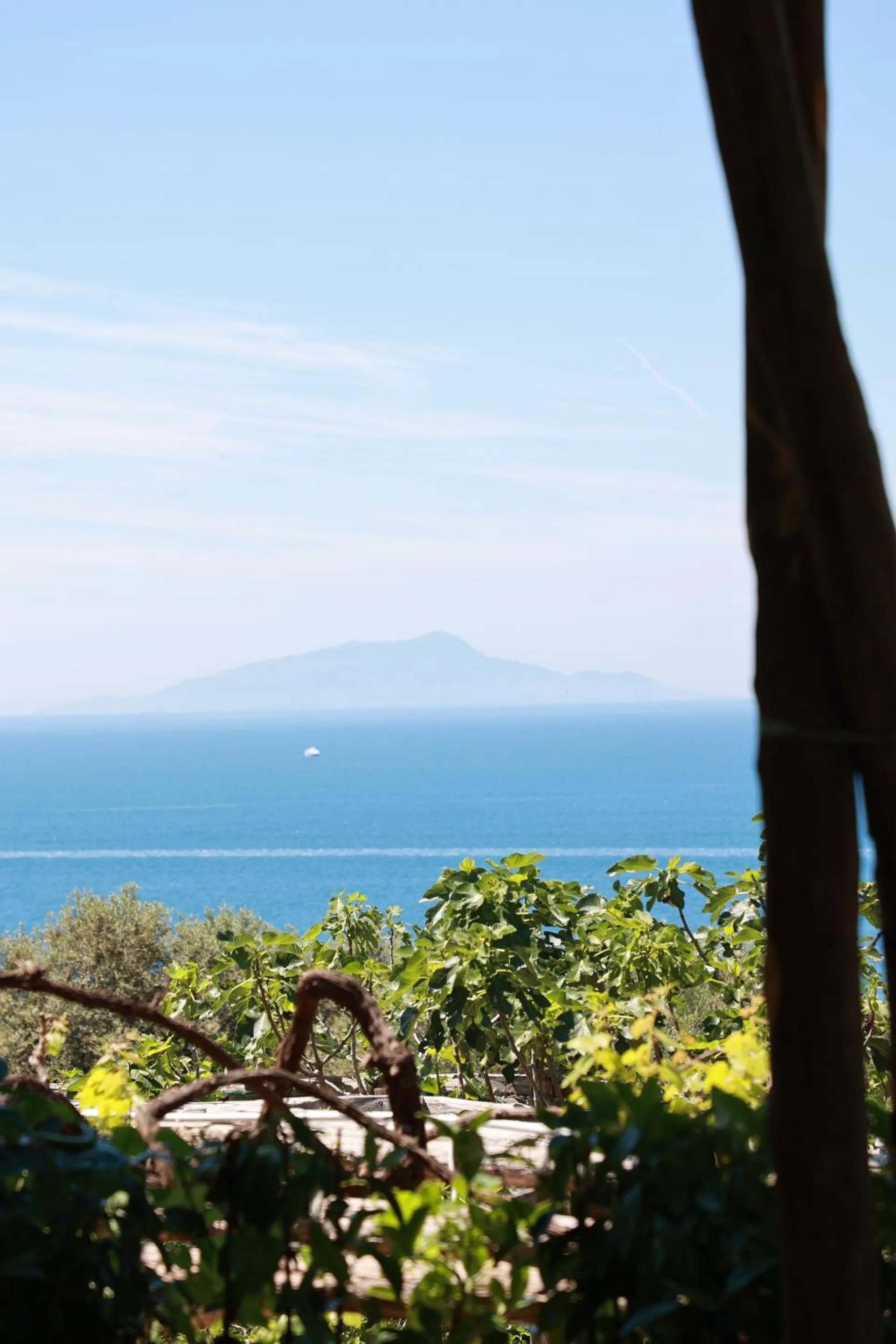 Other in Villa Puolo - Sorrento