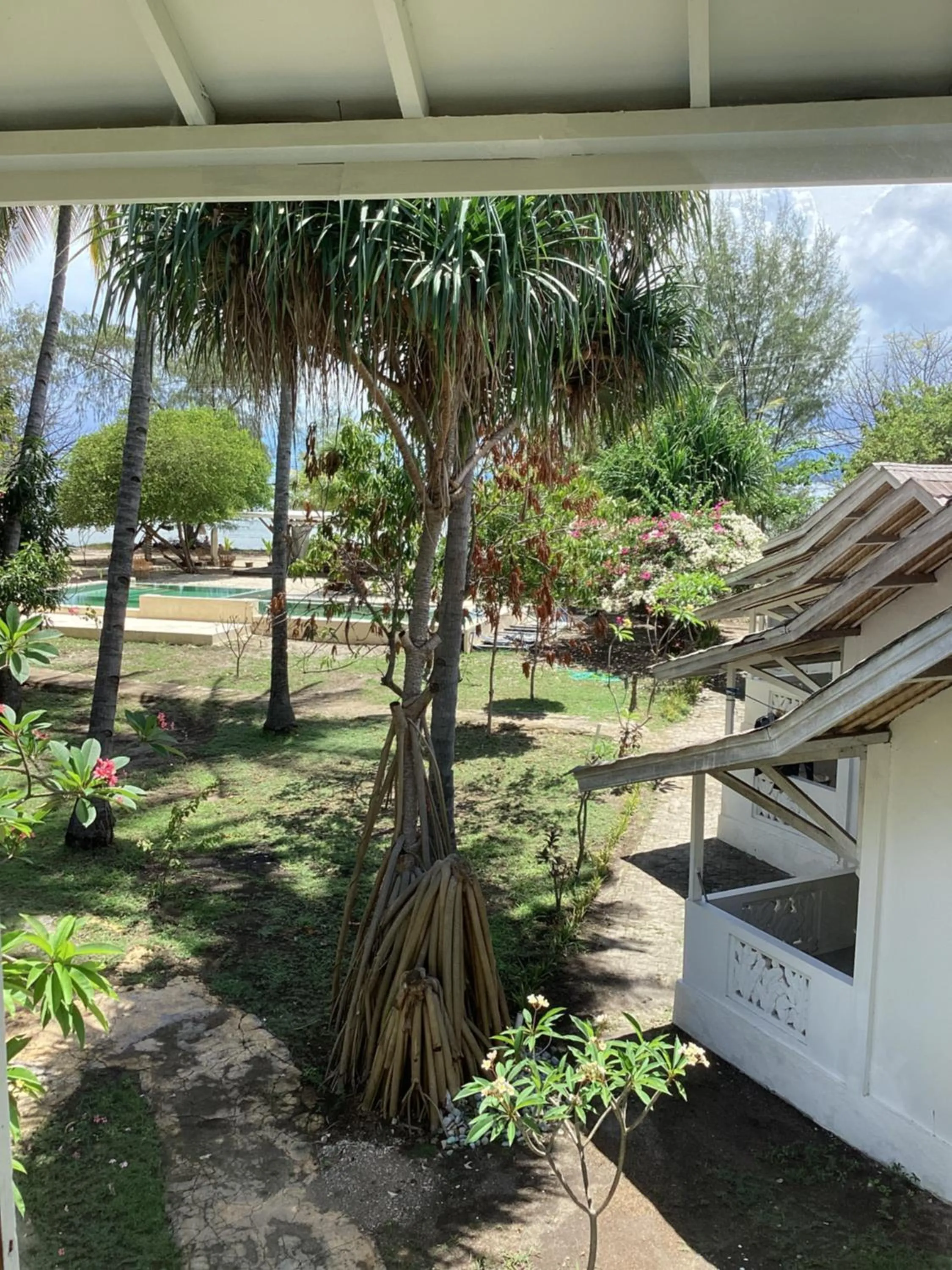 Juliantos by the sea