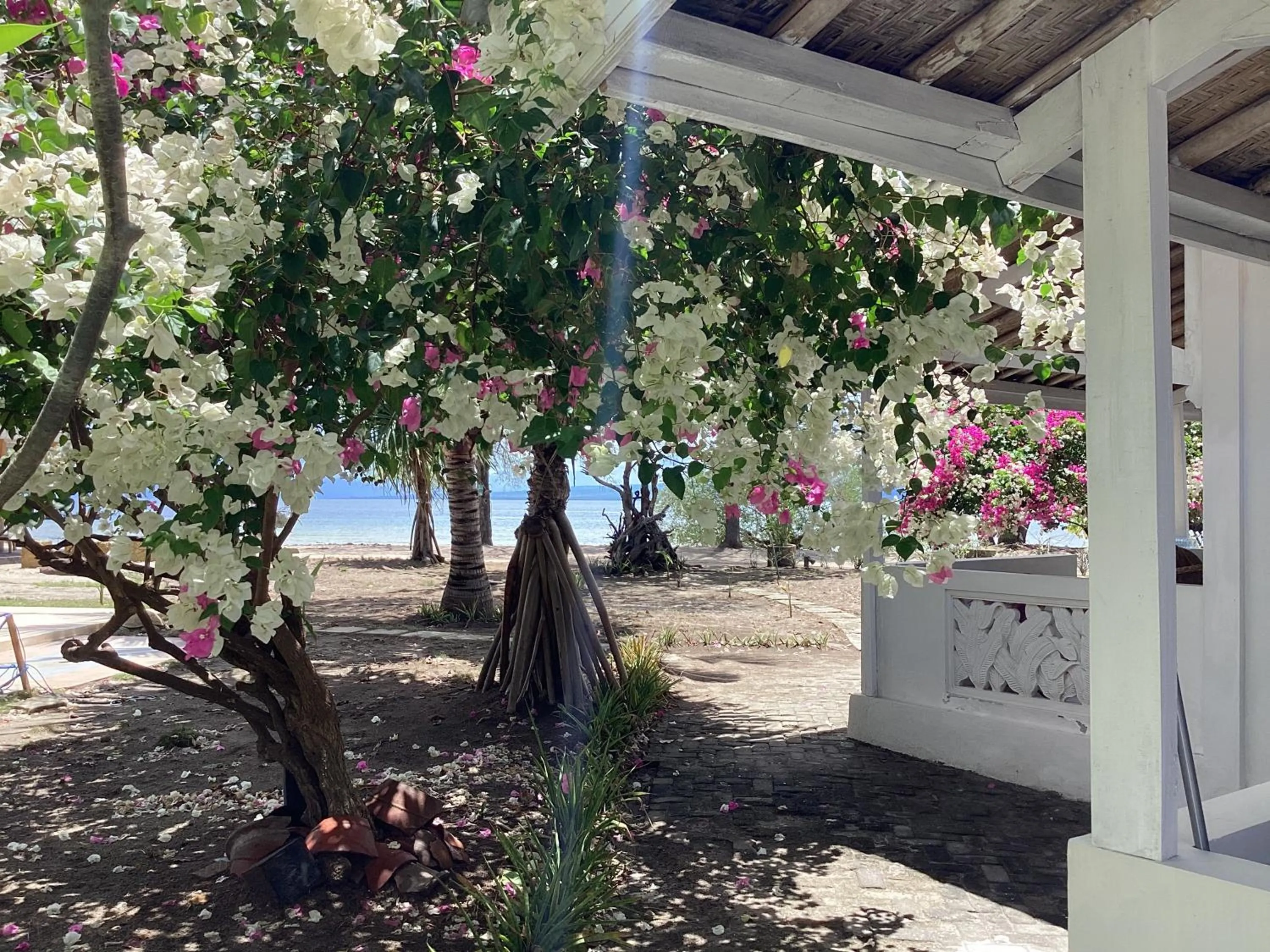 Juliantos by the sea