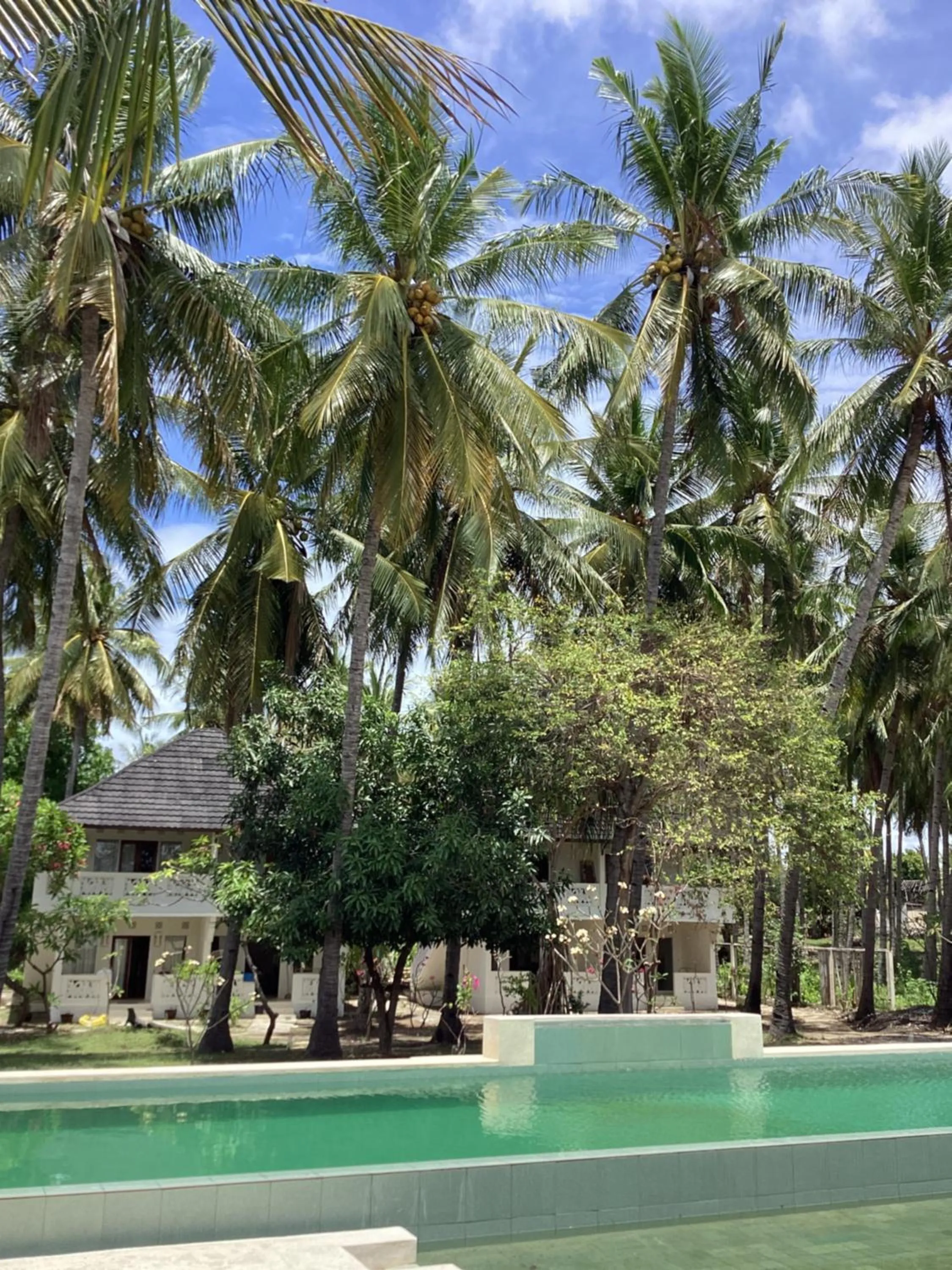 Juliantos by the sea