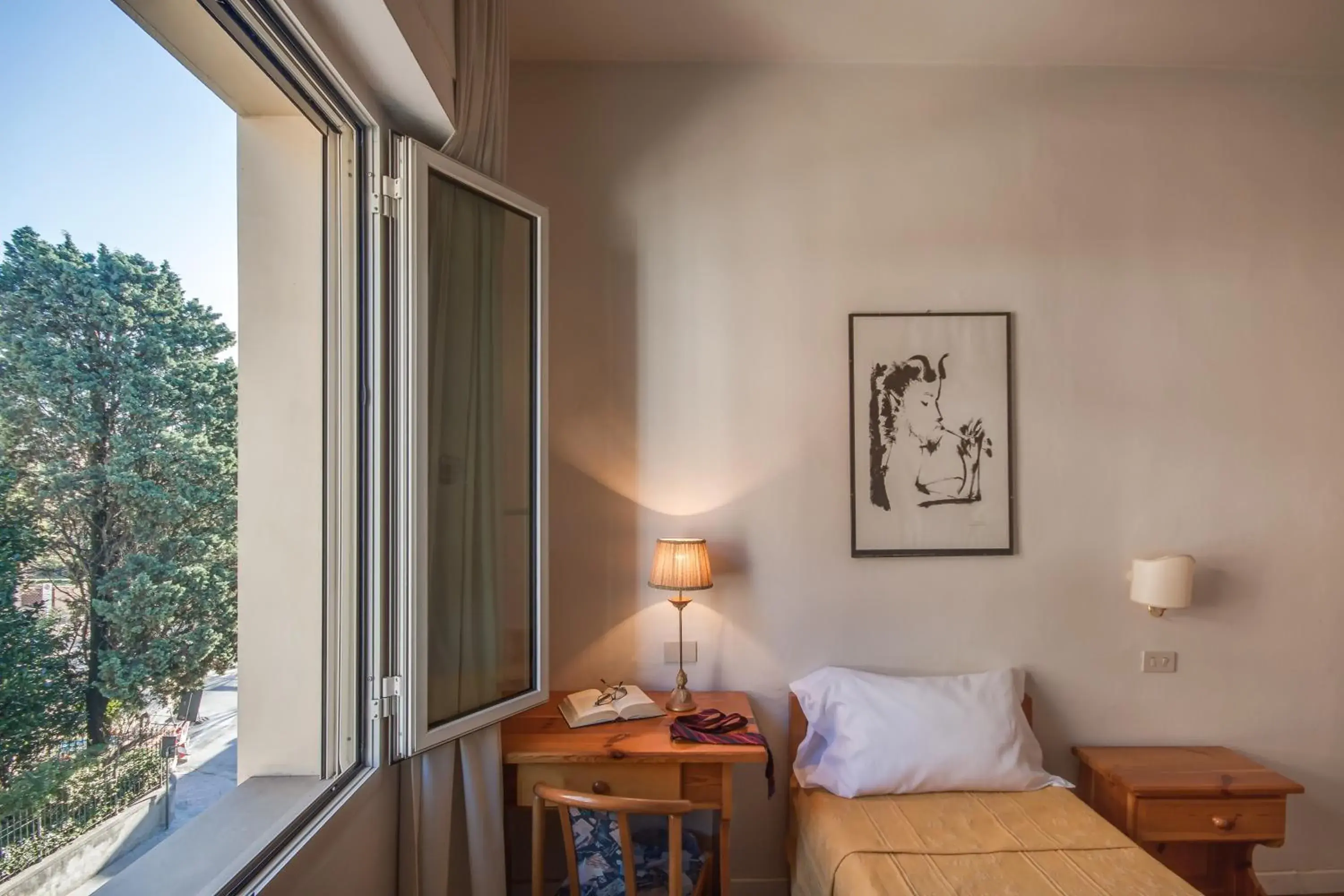 Single Room in Hotel La Pace Single Room in Hotel La Pace