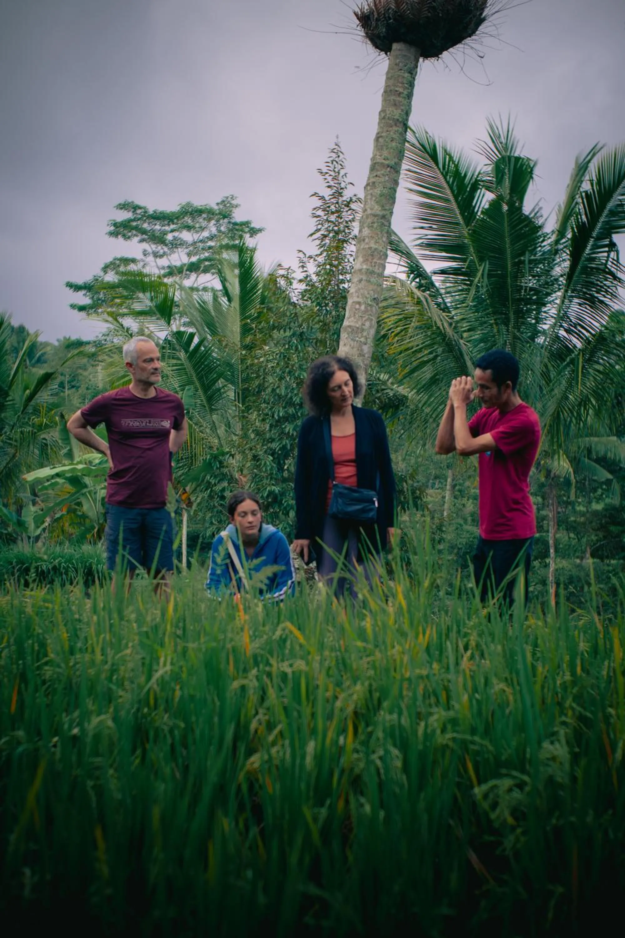 Spring in Tastura Homestay