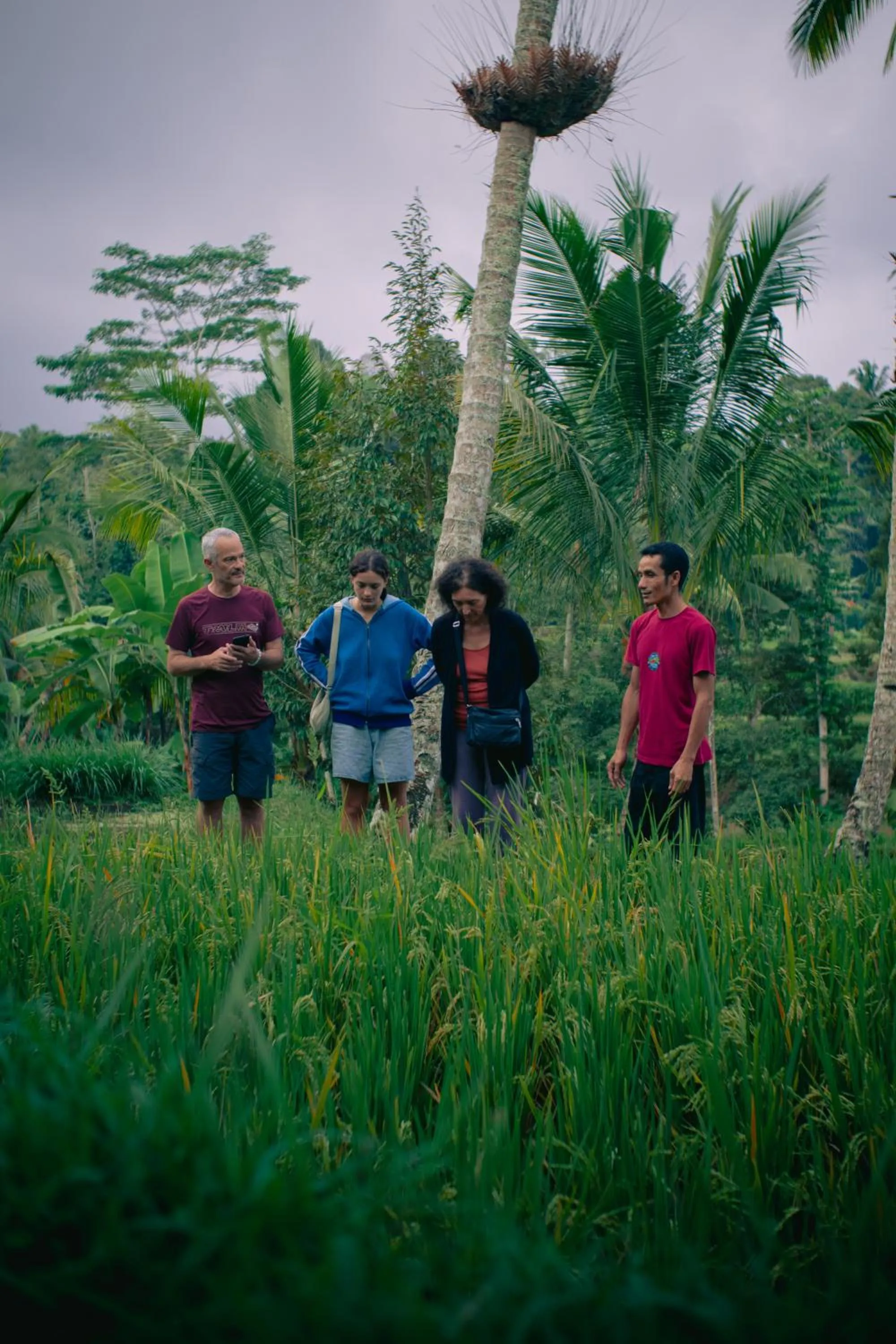 Spring in Tastura Homestay