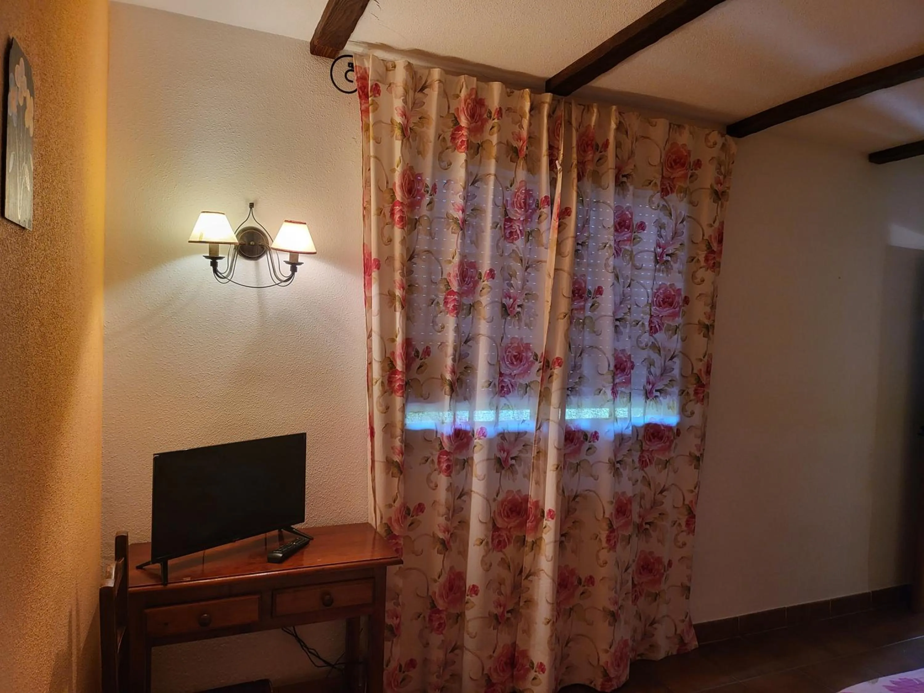 TV and multimedia in Hotel rural LA CASONA DE TAMAYA