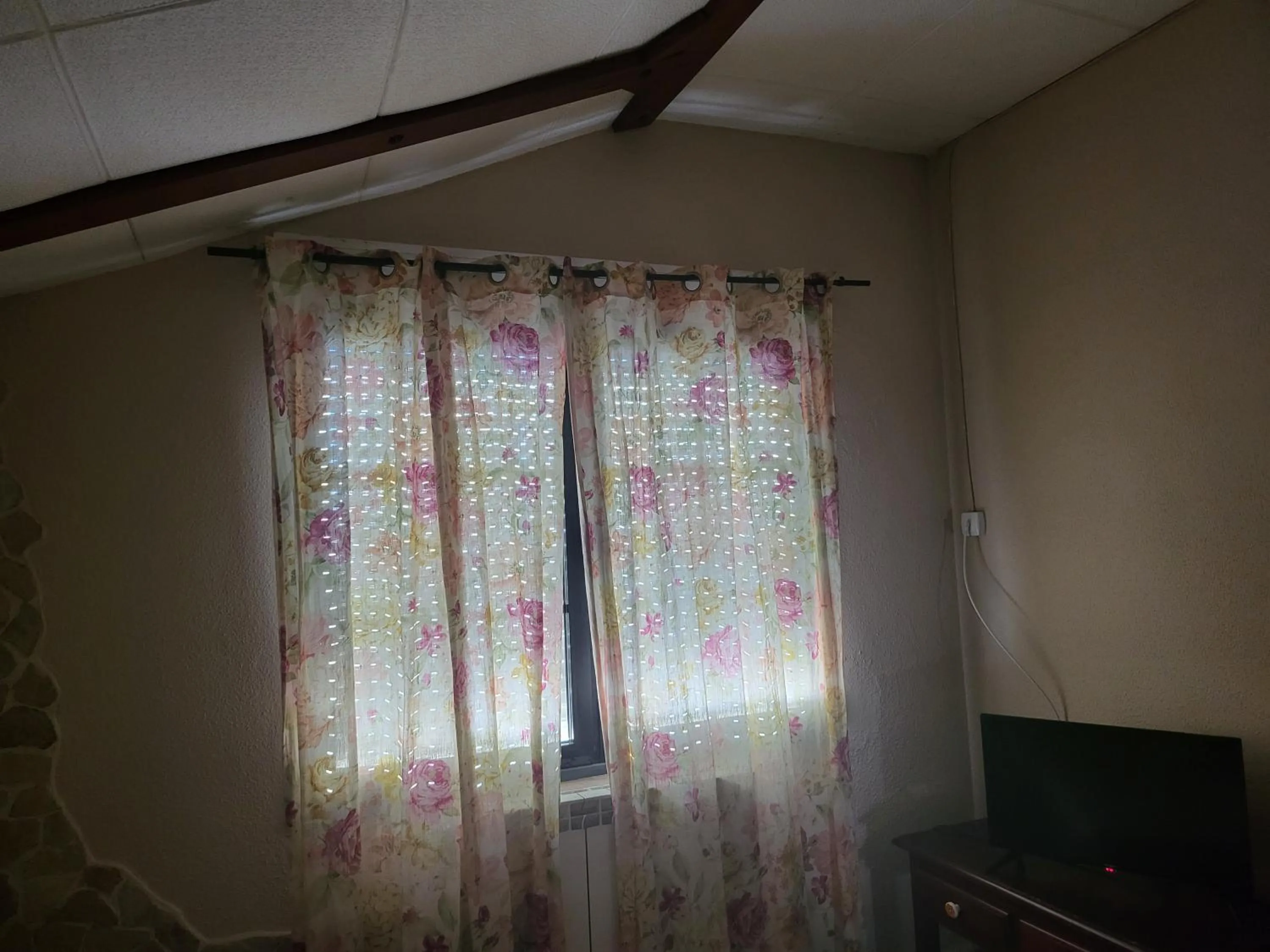 TV and multimedia in Hotel rural LA CASONA DE TAMAYA