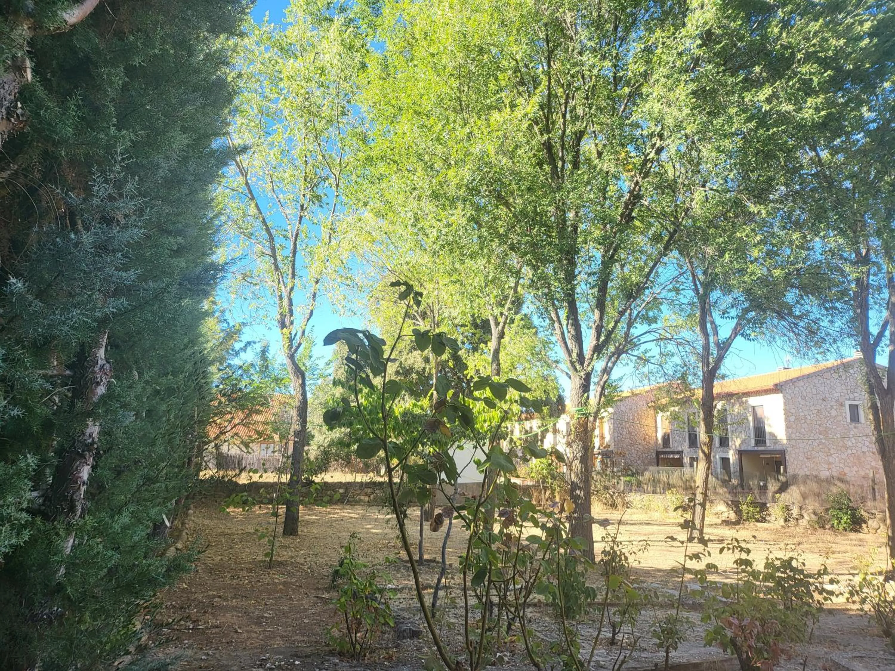 Garden in Hotel rural LA CASONA DE TAMAYA