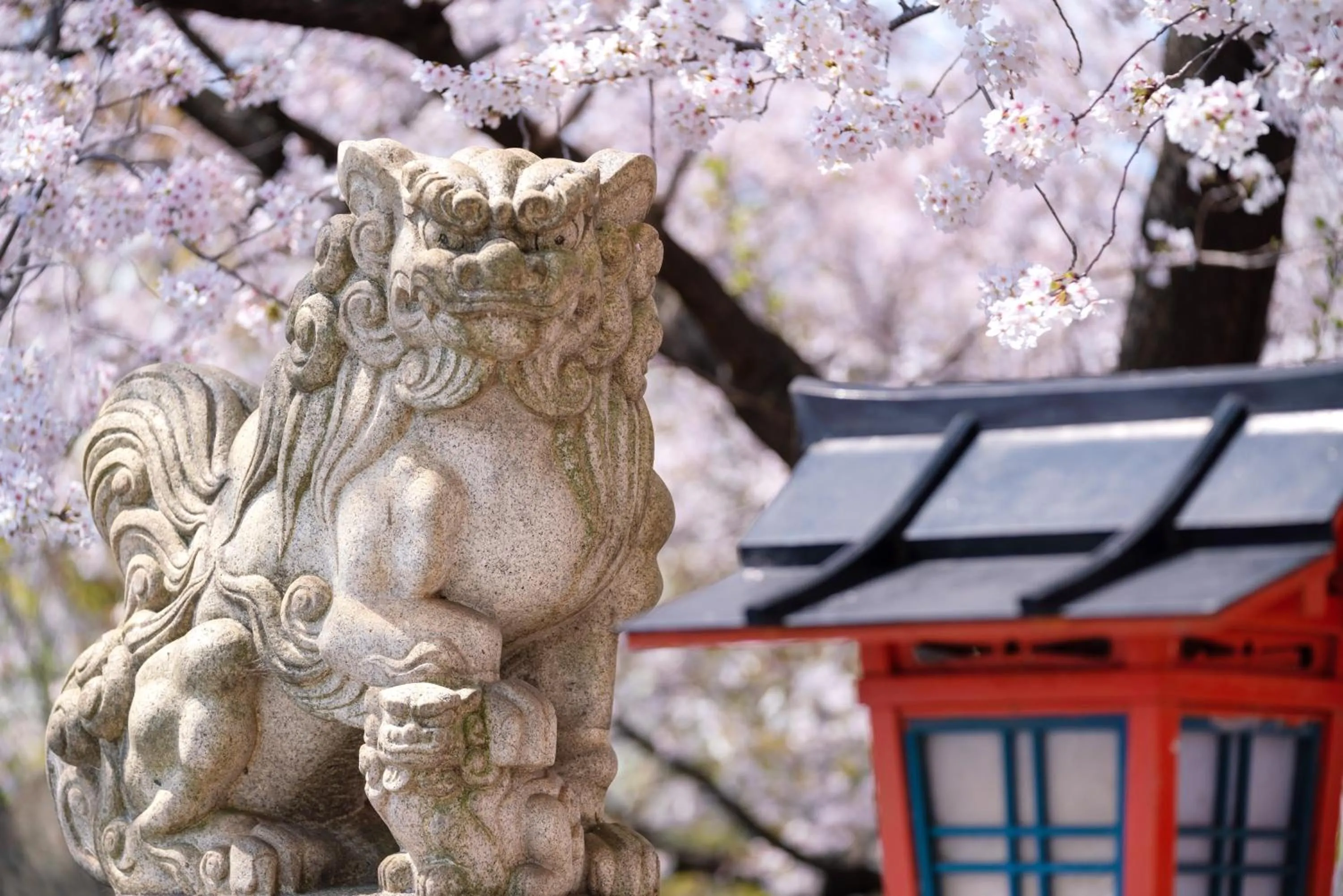 Spring in OMO3 Kyoto Toji by Hoshino Resorts