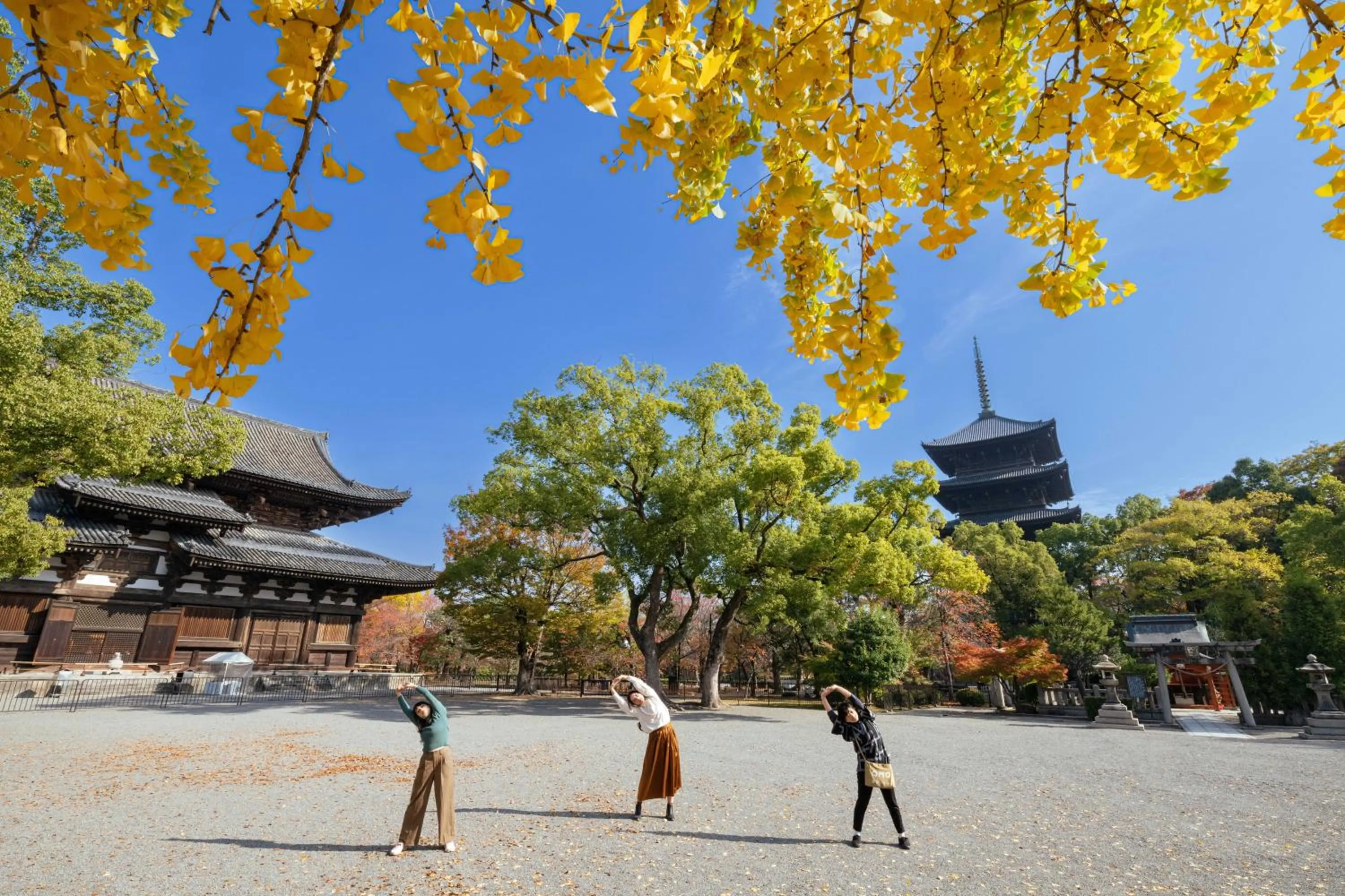 Day in OMO3 Kyoto Toji by Hoshino Resorts