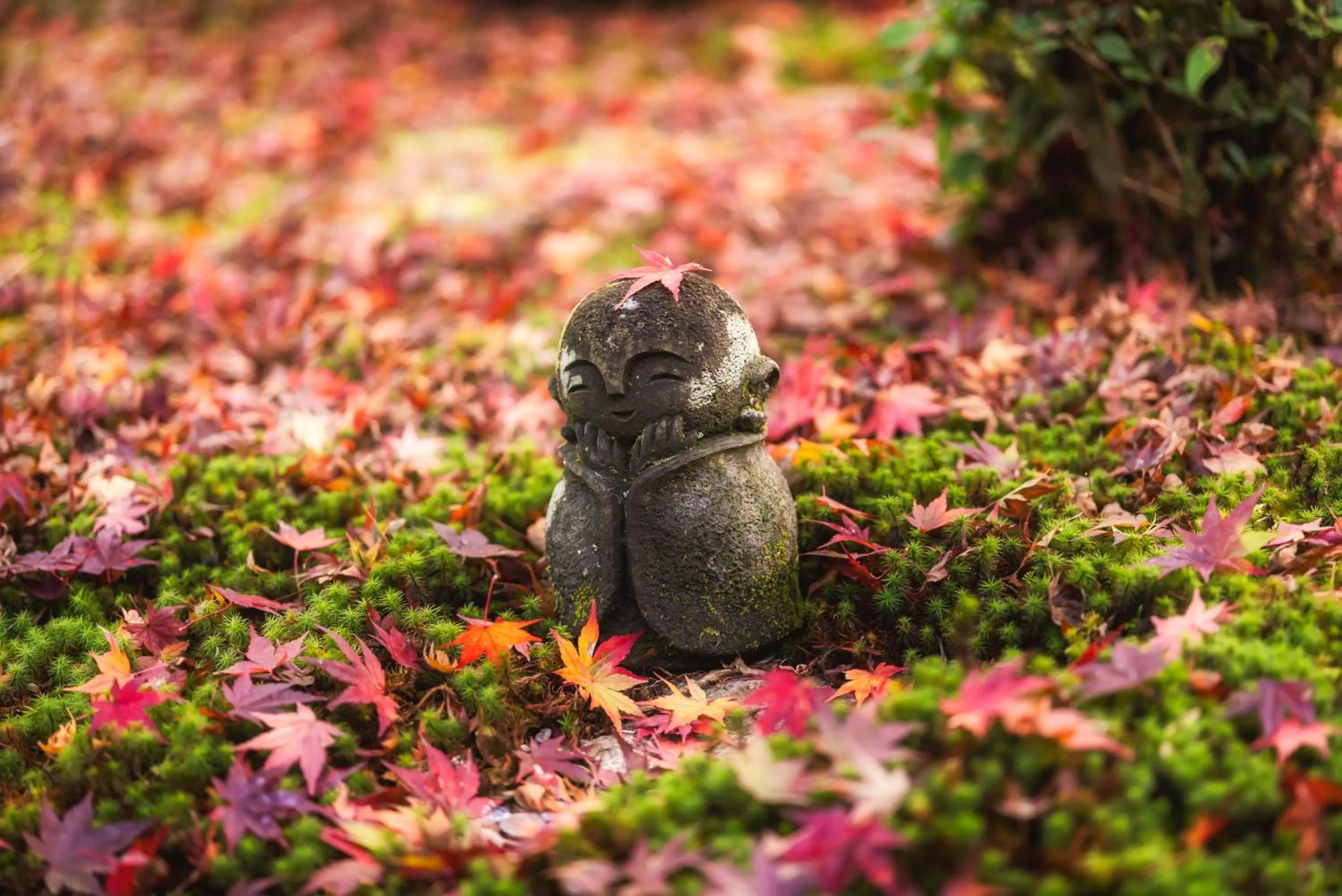 Day in OMO3 Kyoto Toji by Hoshino Resorts