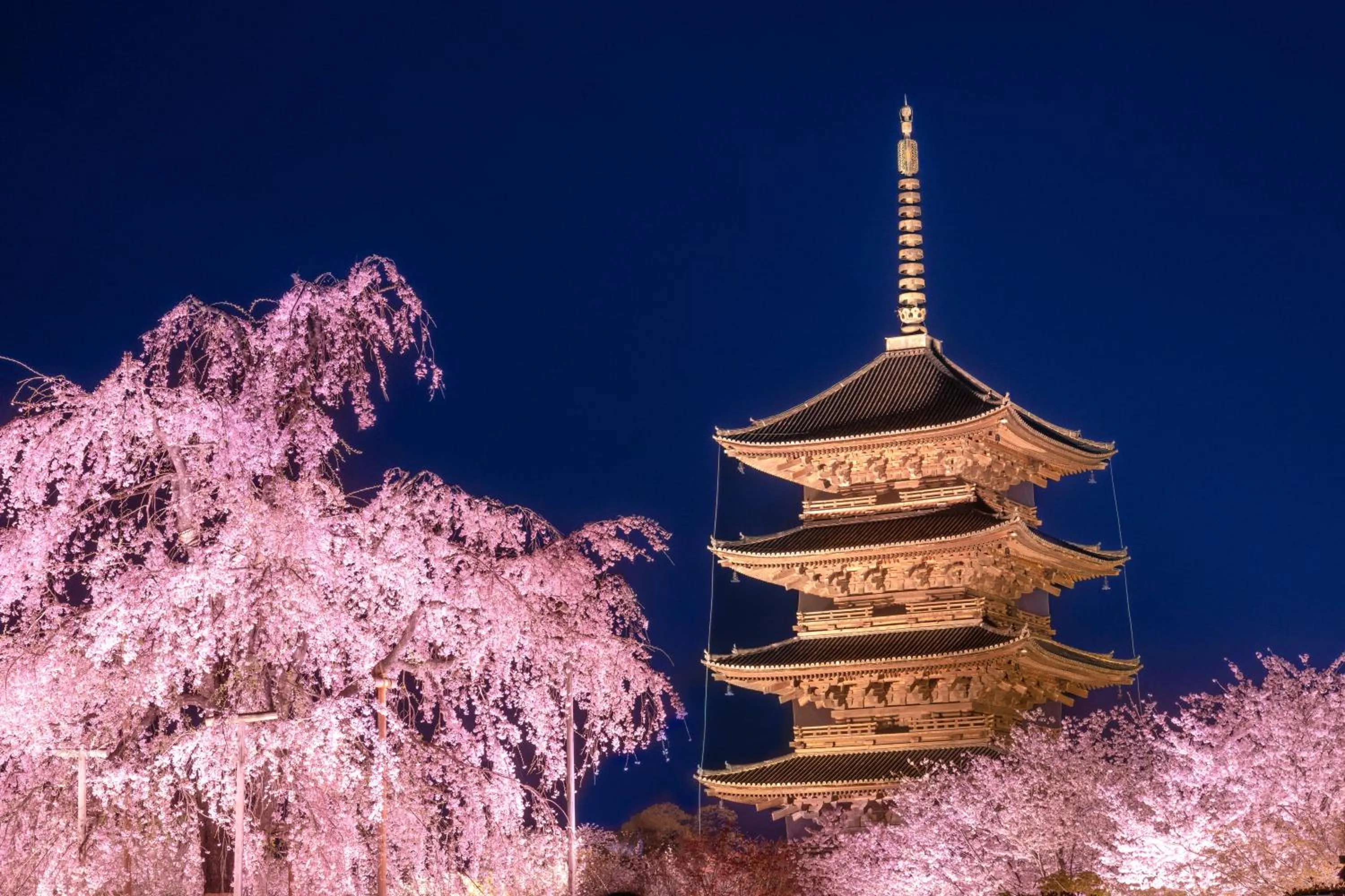 Nearby landmark in OMO3 Kyoto Toji by Hoshino Resorts