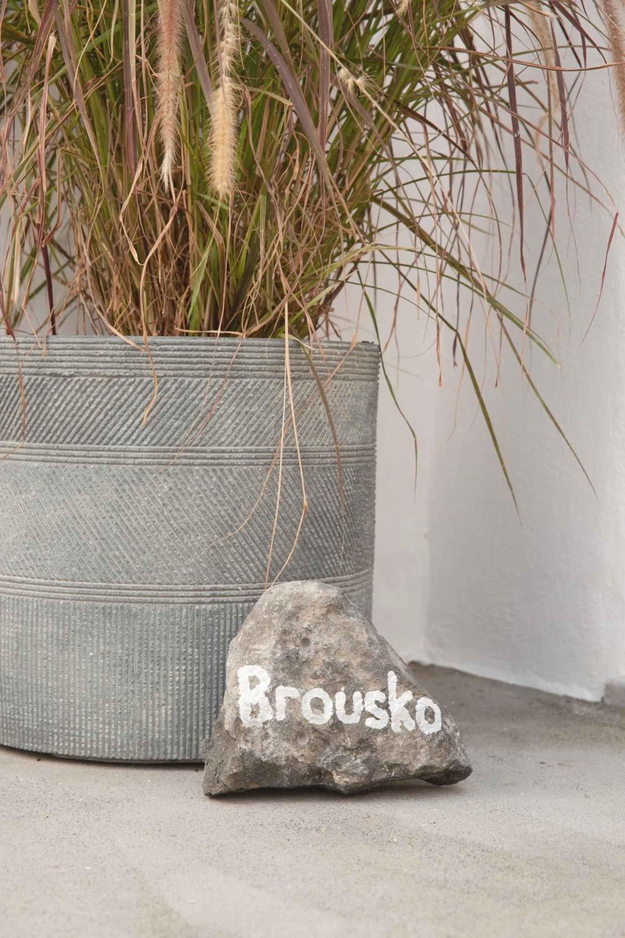 Logo/Certificate/Sign in Cydonia Caves